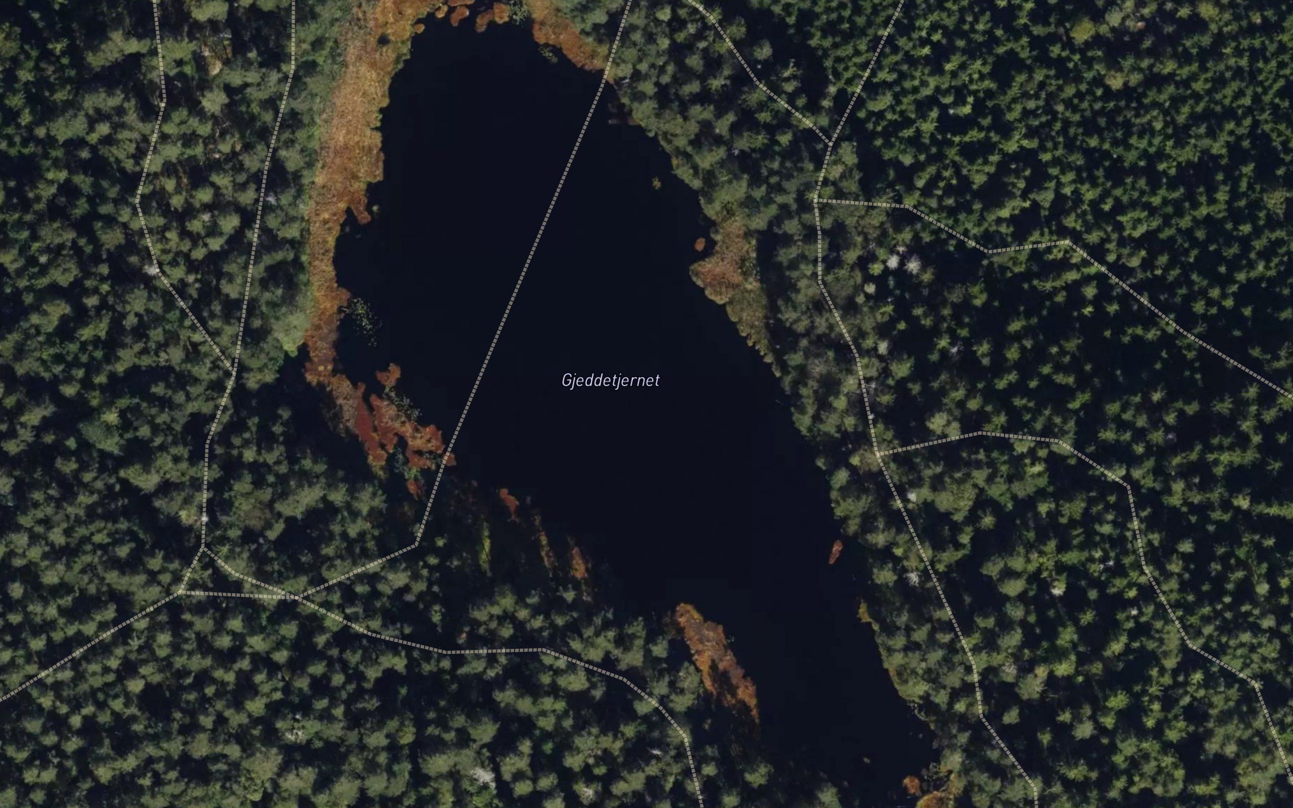 Gjeddetjern