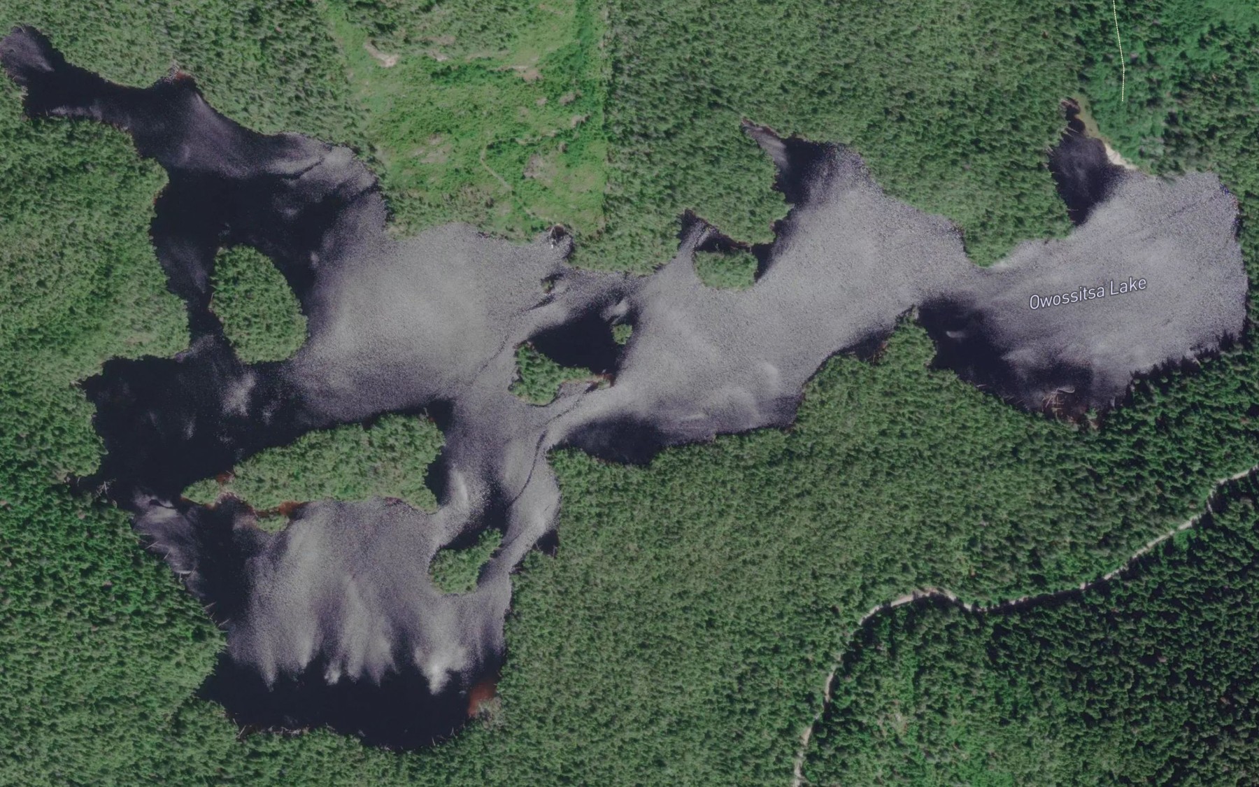 Satellite map of the Owossitsa Lake