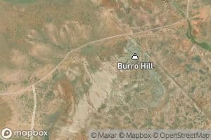 Burro Spring