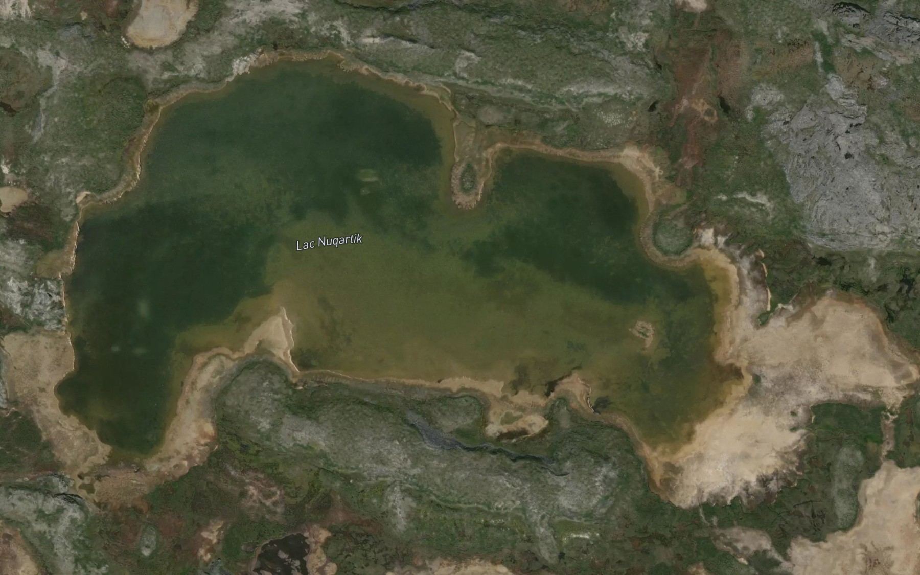 Satellite map of the Lac Nuqartik