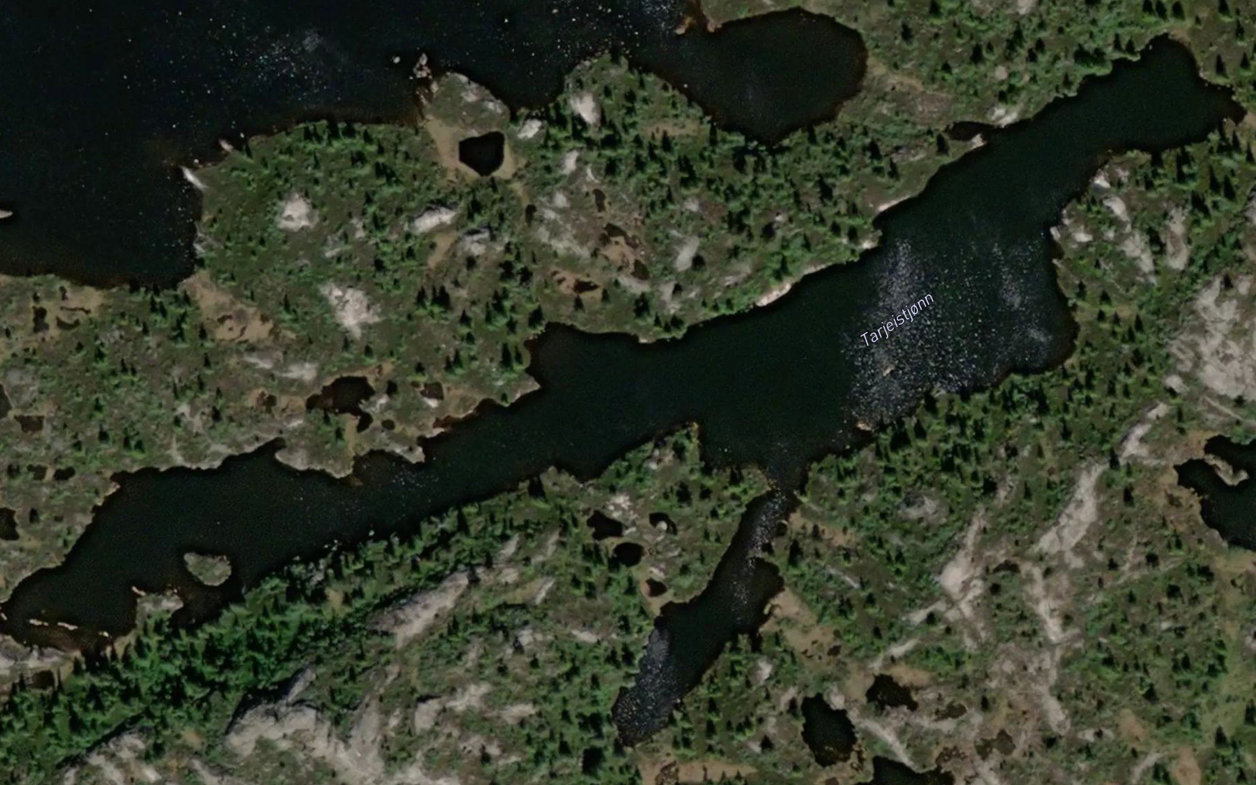 Tarjeistjornane