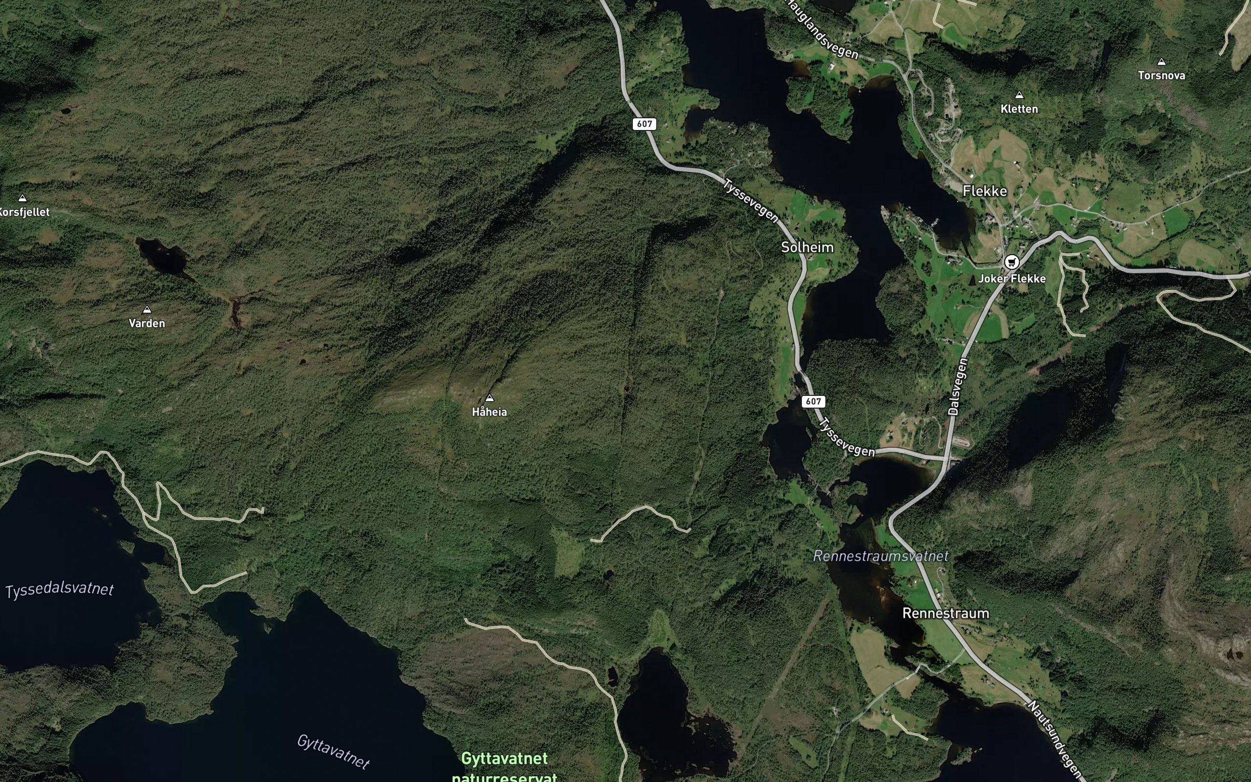 Dyttingstjorna