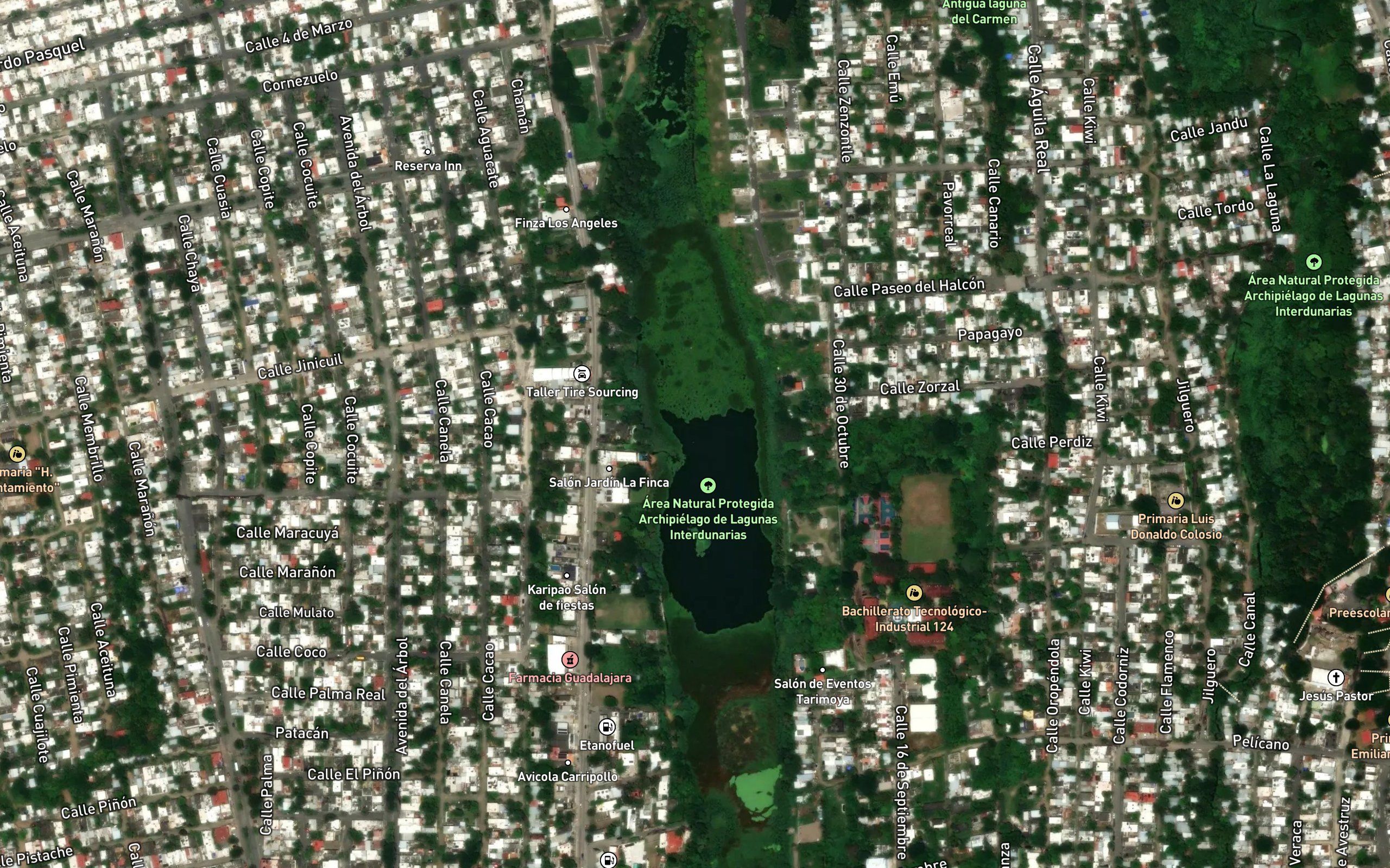 Laguna Lagartos