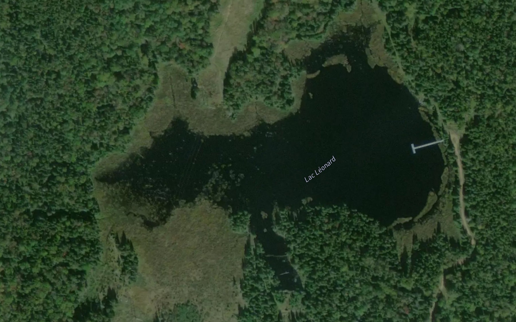 Satellite map of the Lac Leonard