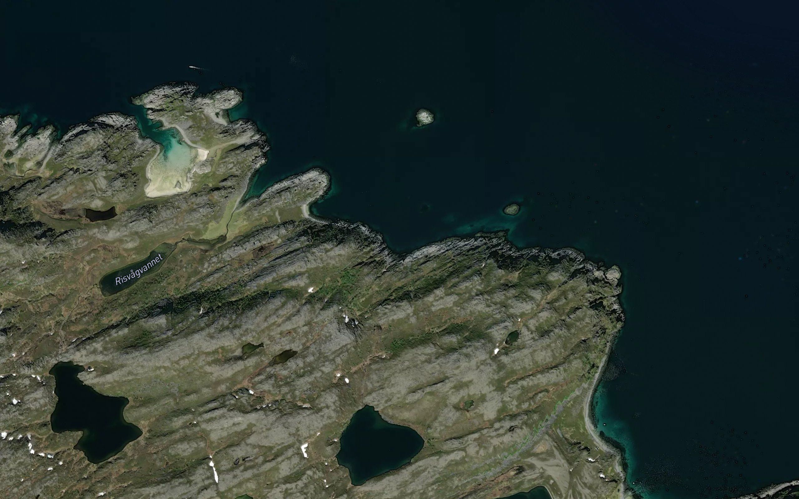 Fjellvika