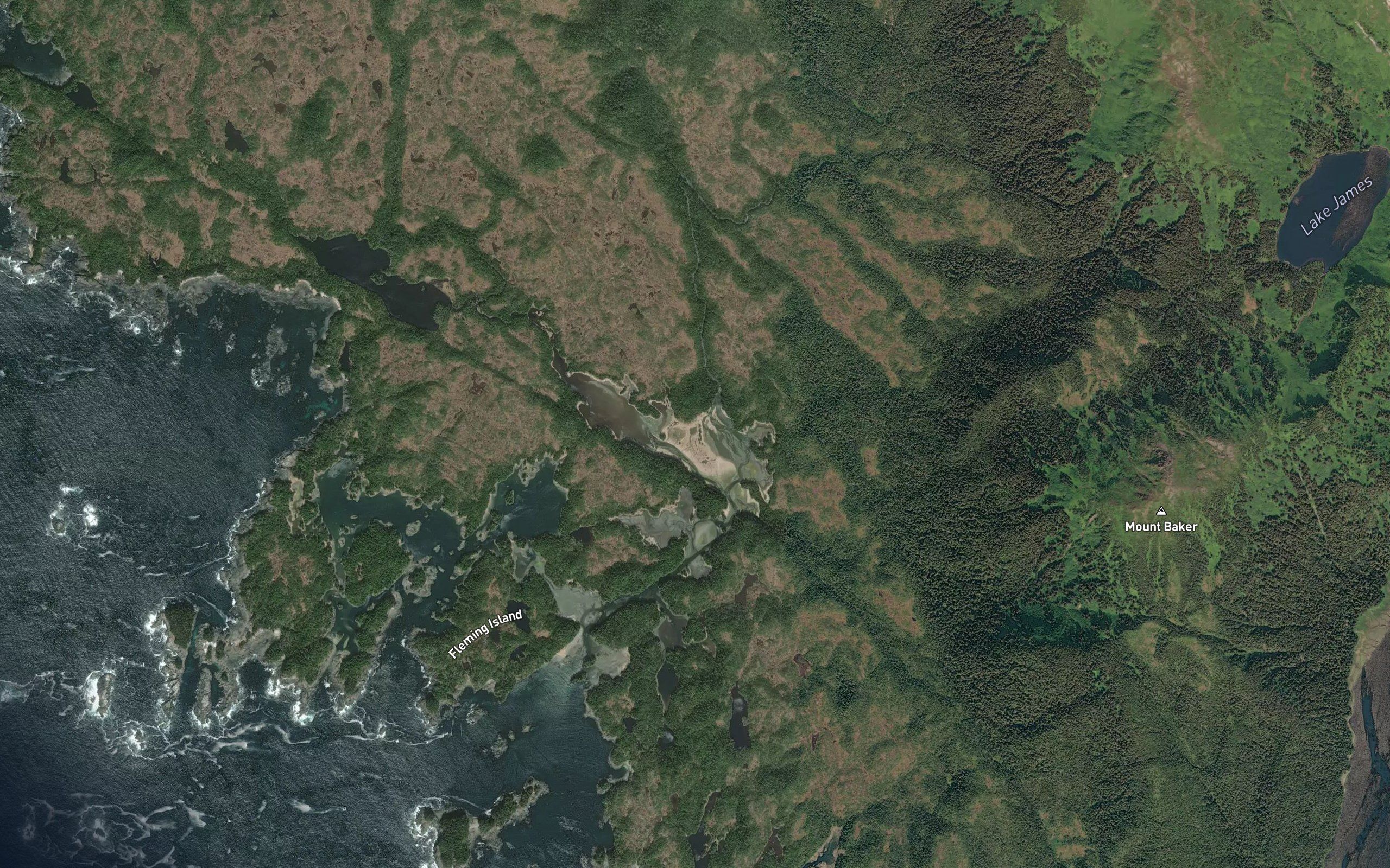 Sea Level Slough