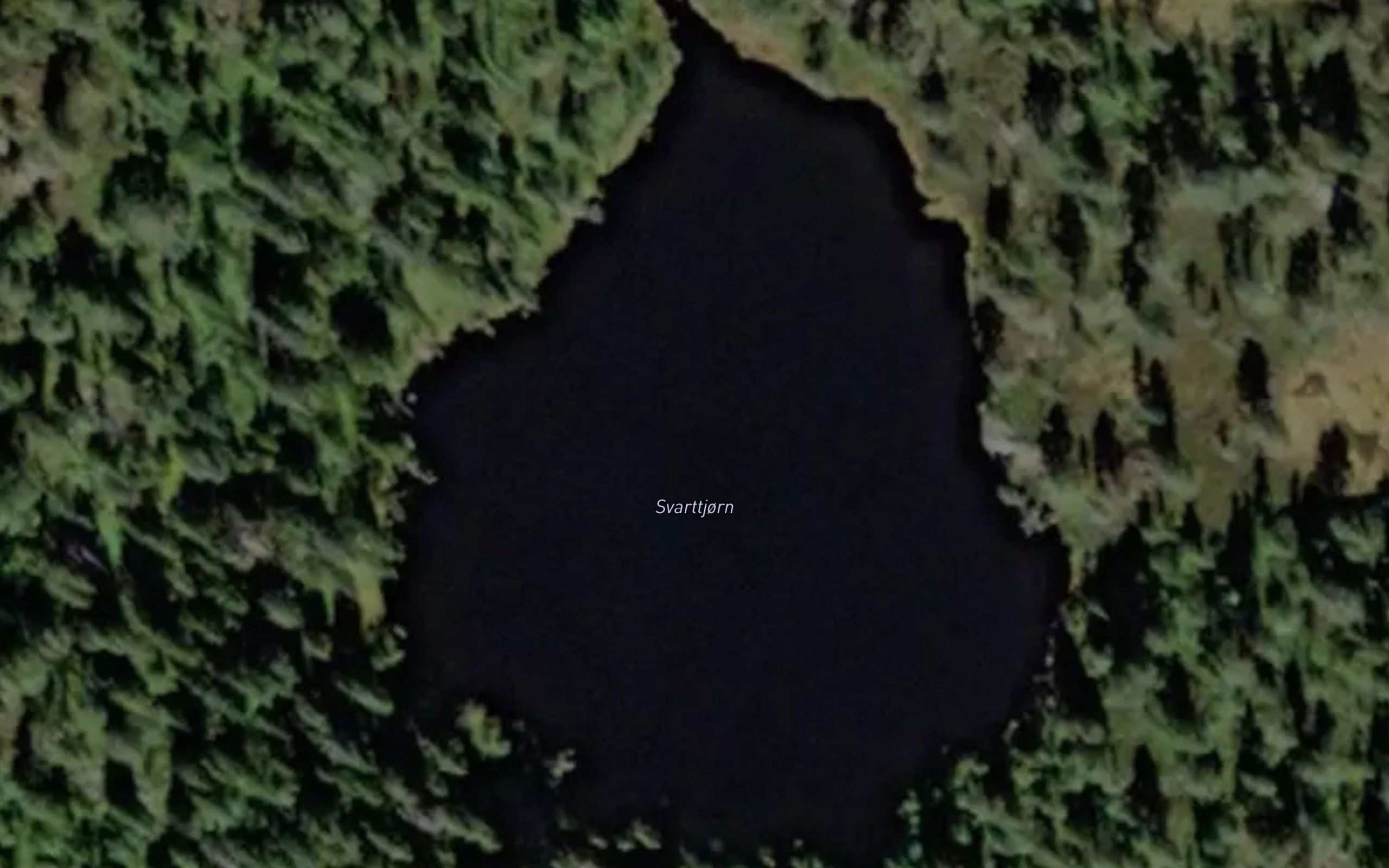 Svarttjorn