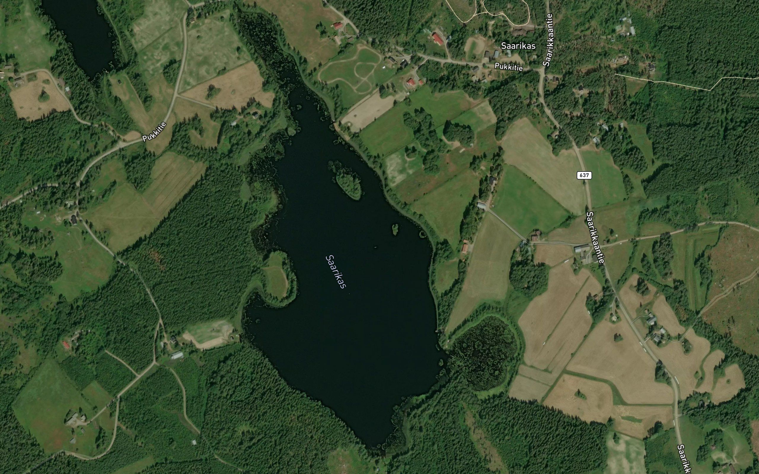 Saarikas