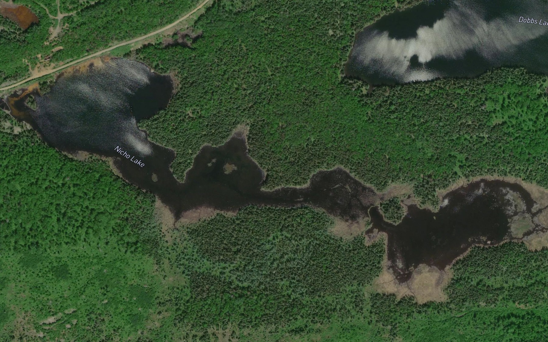 Satellite map of the Nicho Lake