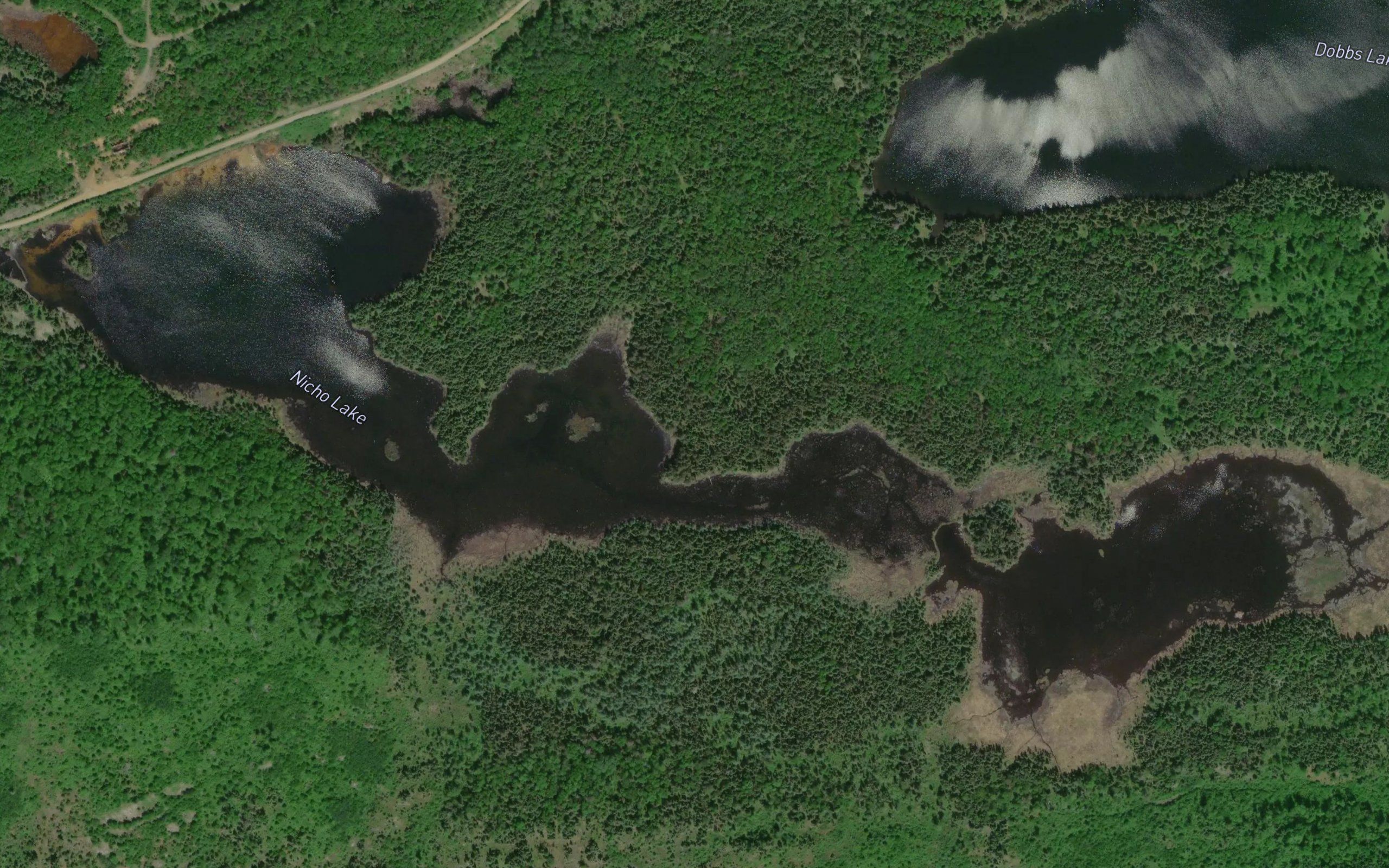 Nicho Lake