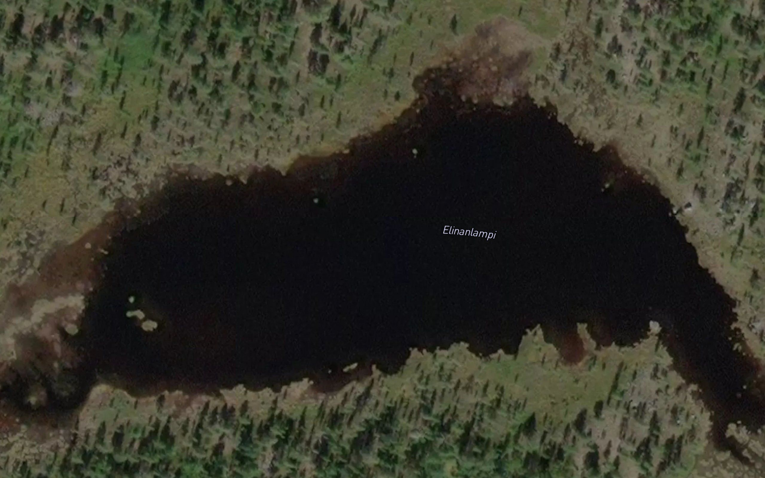 Elinanlampi