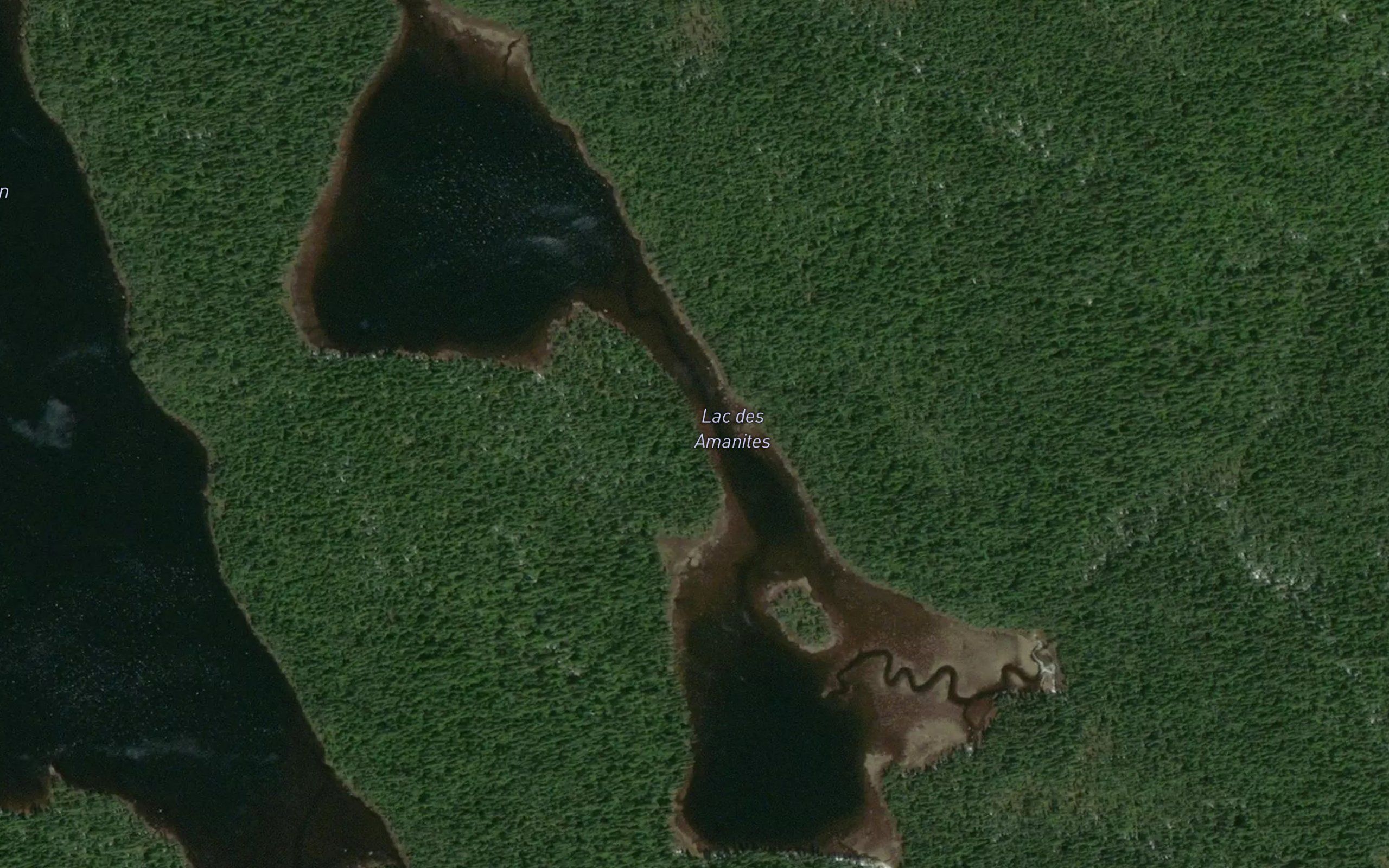 Lac des Amanites