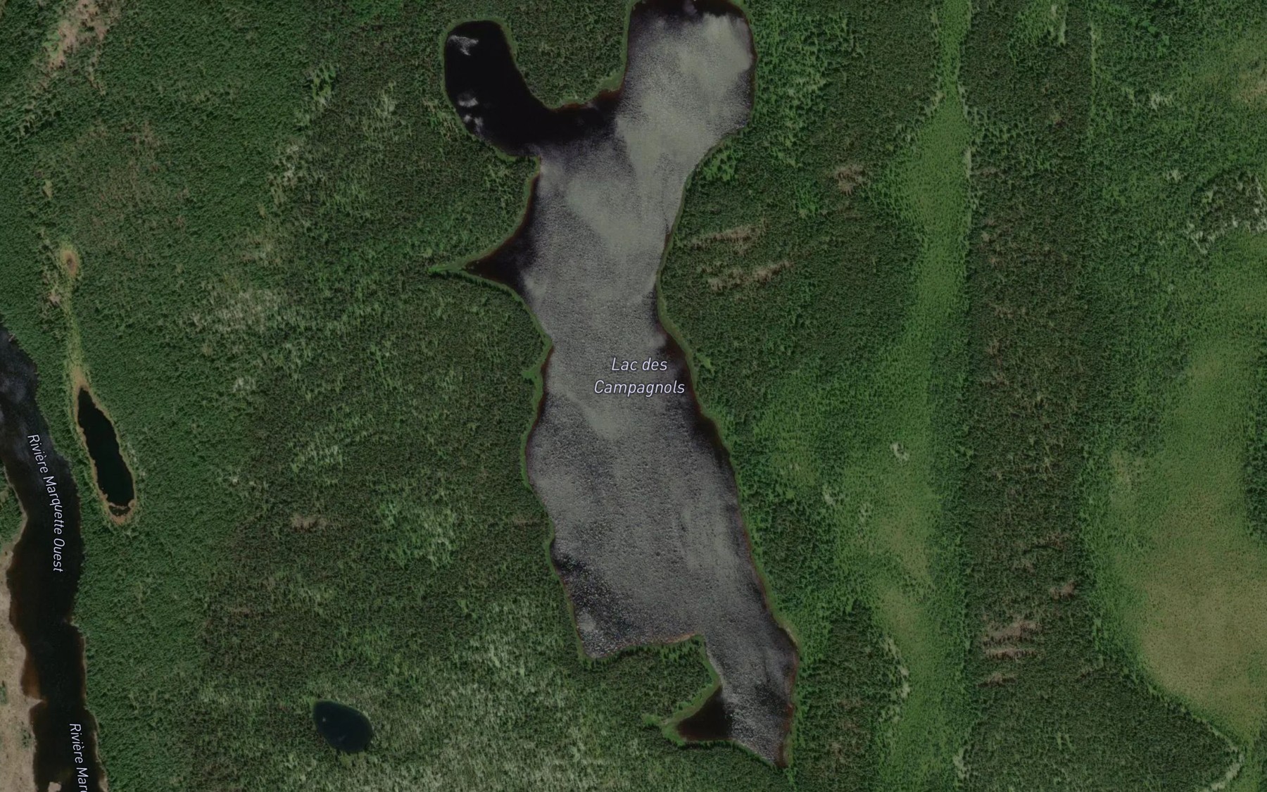 Satellite map of the Lac des Campagnols