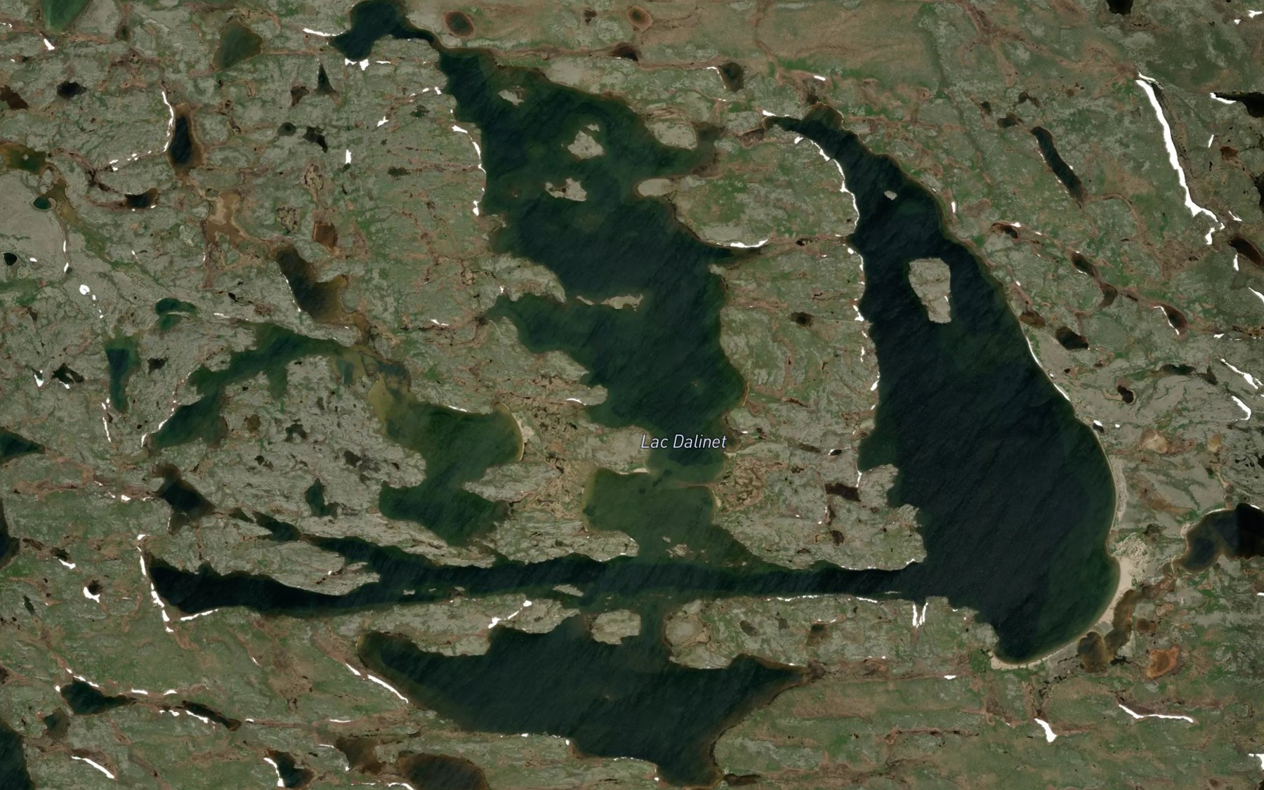 Satellite map of the Lac Dalinet