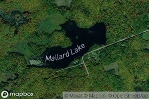 Mallard Lake