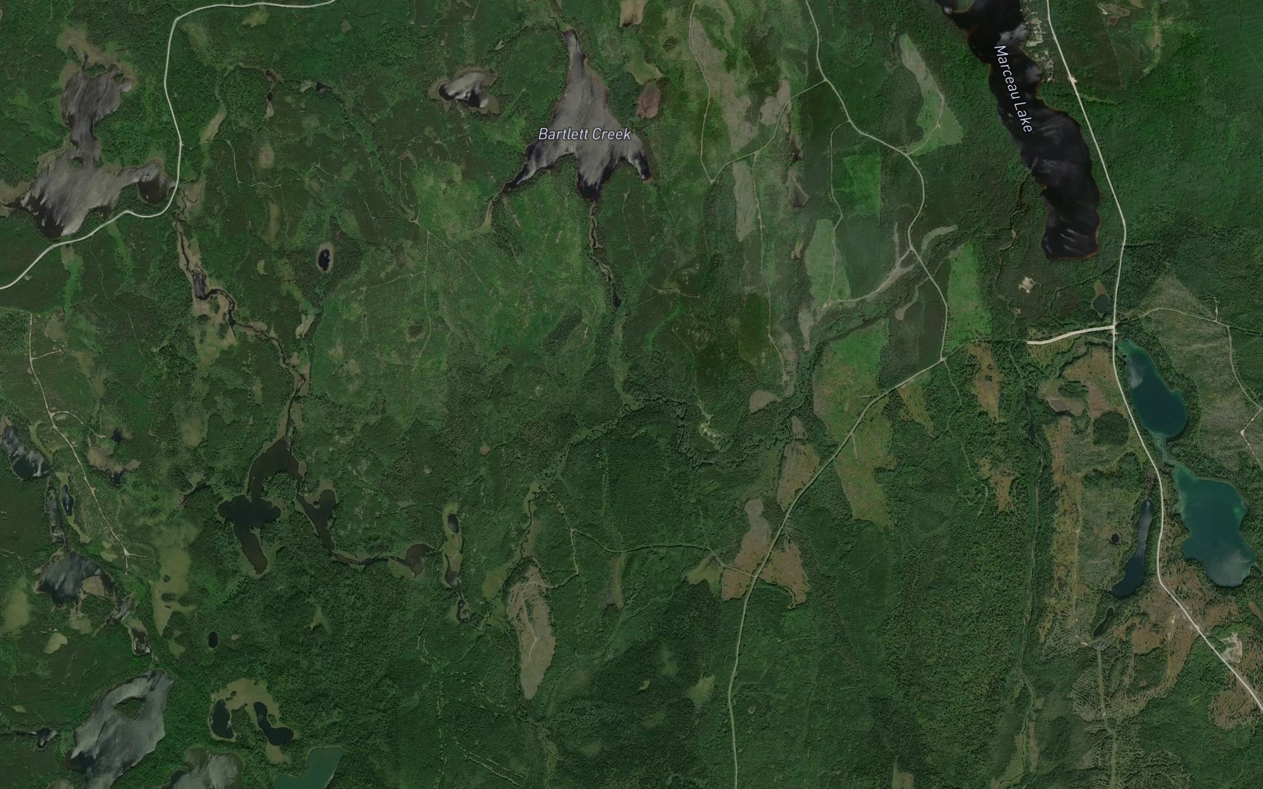Satellite map of the Musgrove Creek