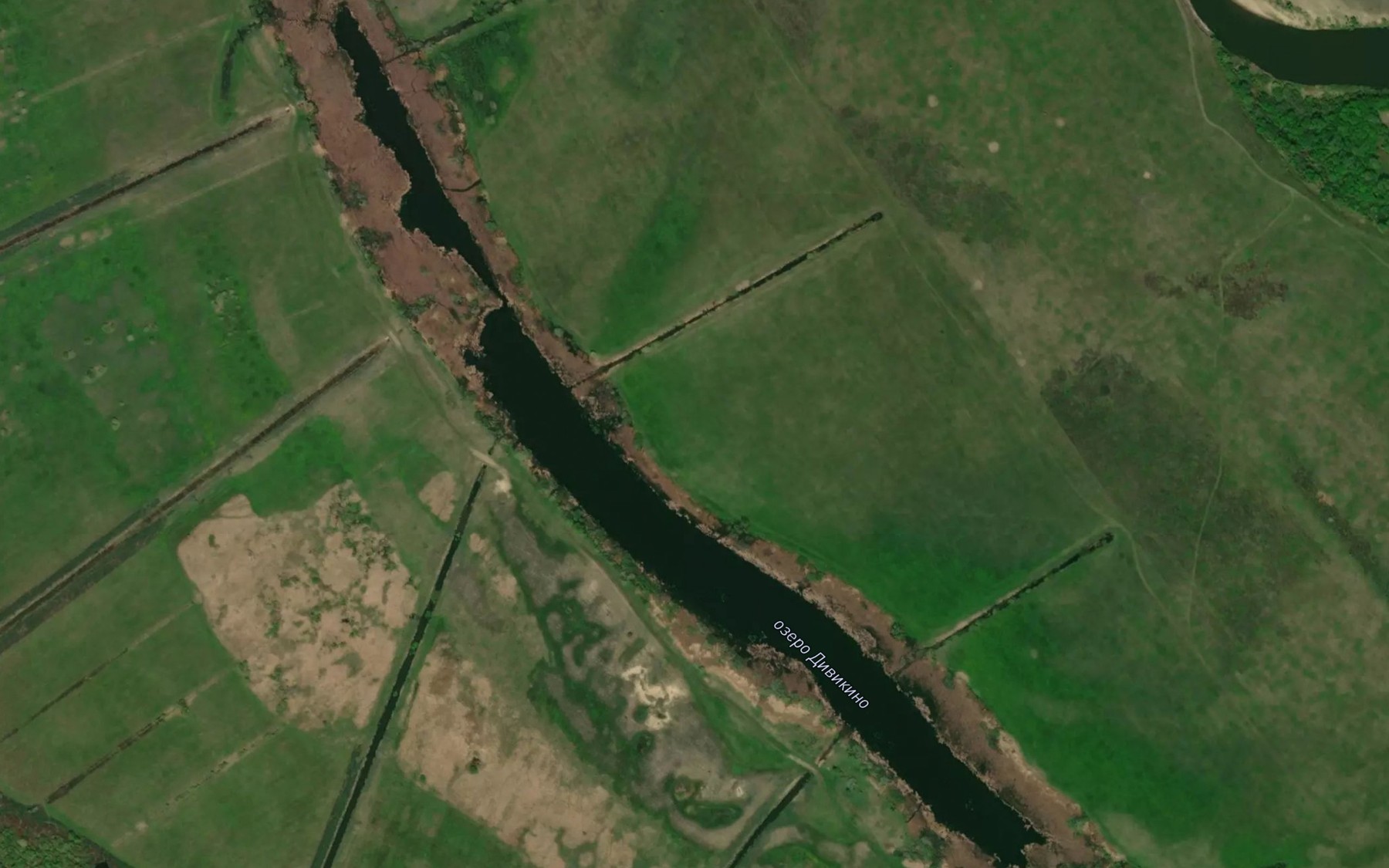 Satellite map of the Ozero Divikino
