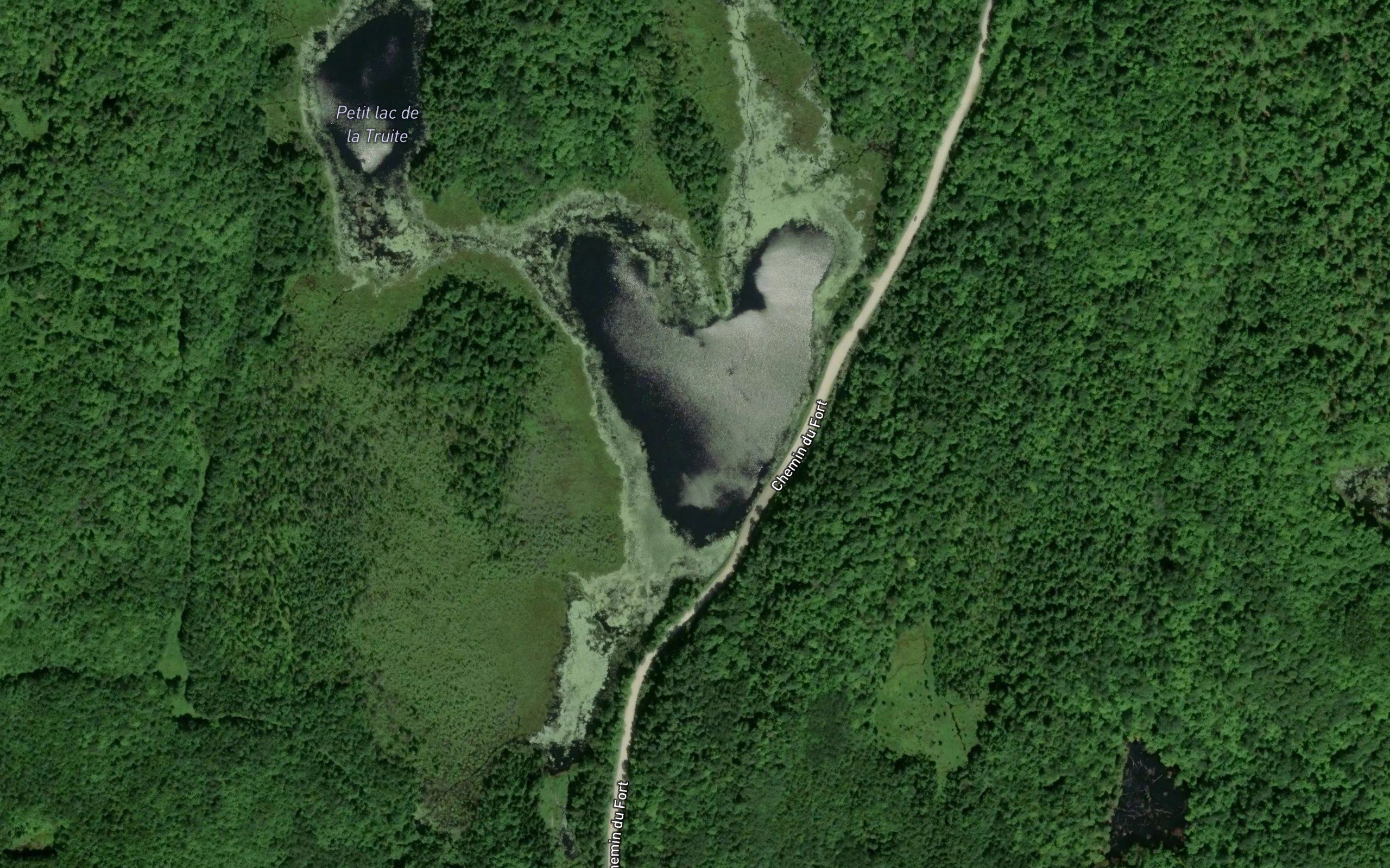 Lac a la Truite