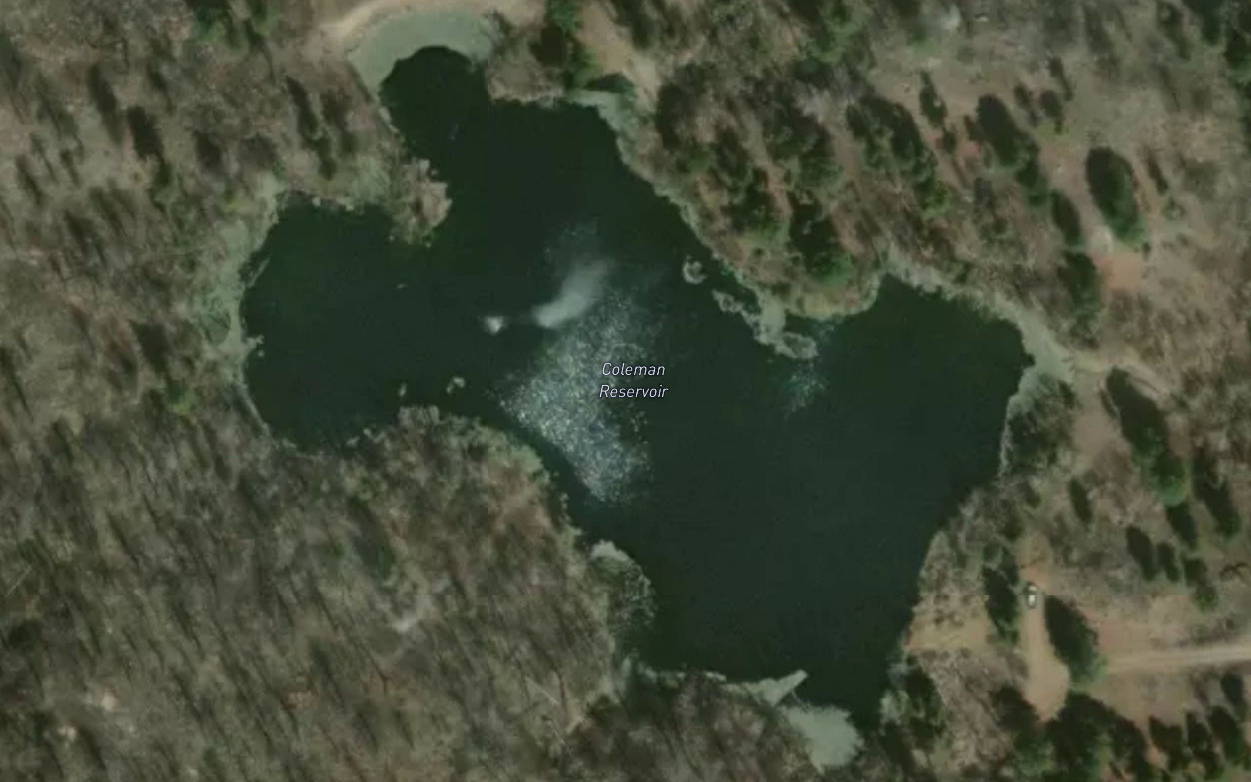 Coleman Reservoir