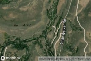 Molybdenite Creek