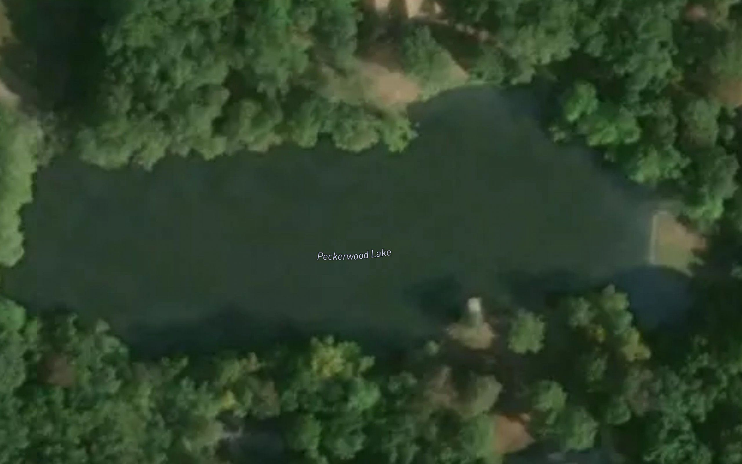 Peckerwood Lake