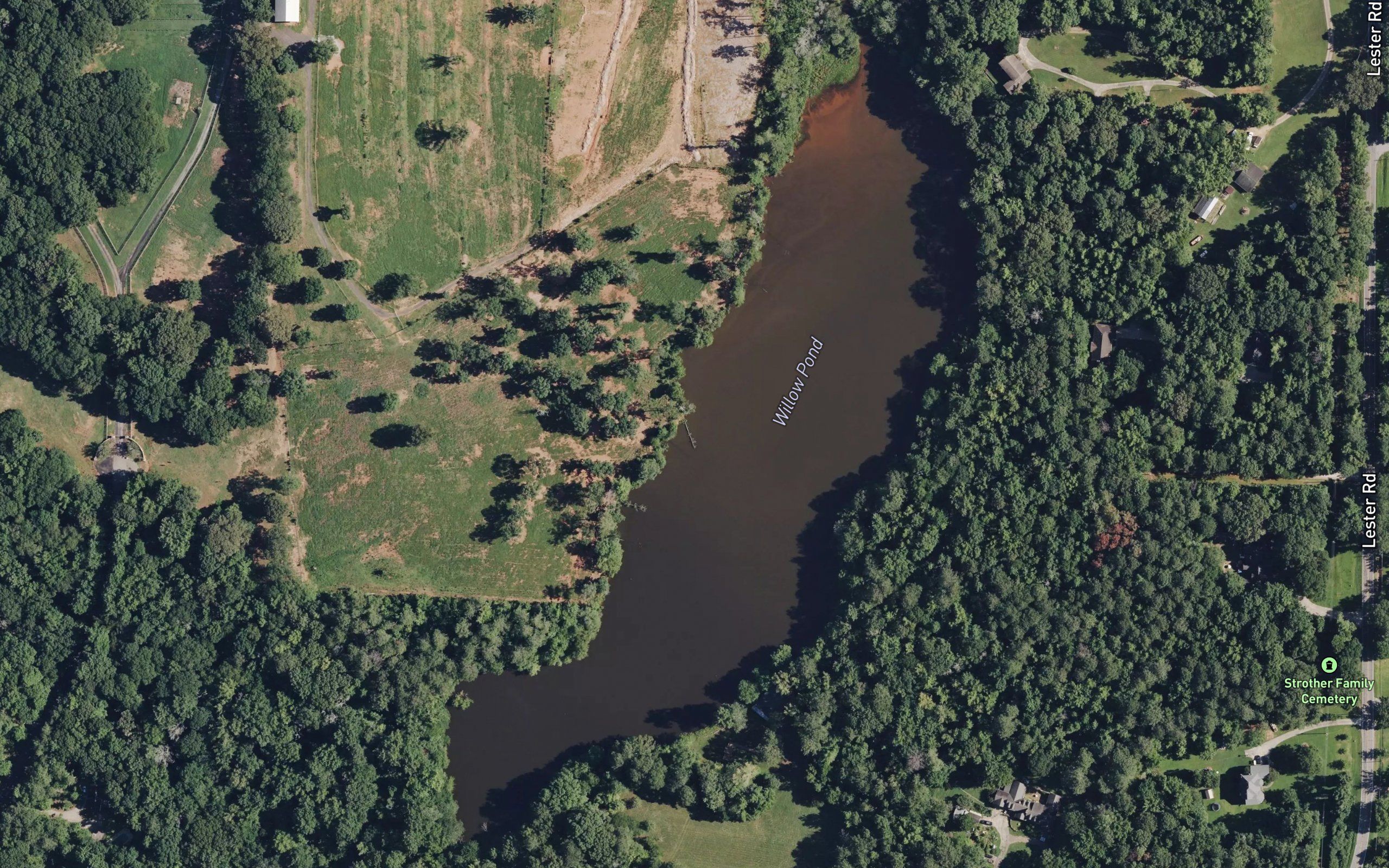 Willow Pond