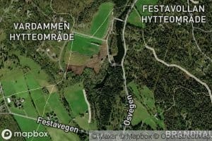 Svinfallet