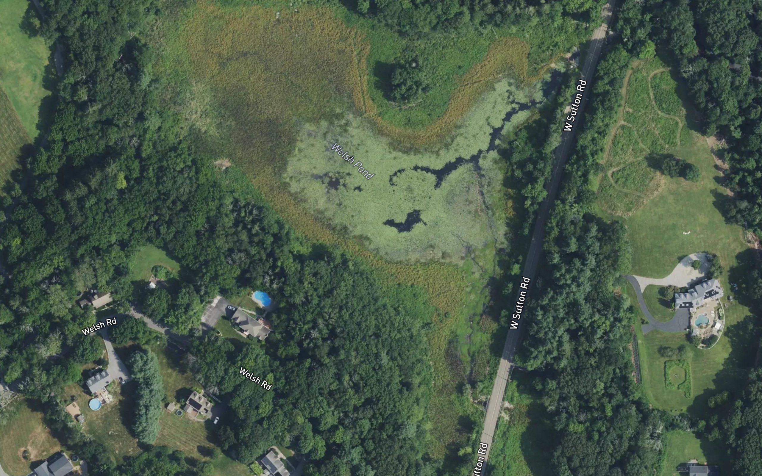 Welsh Pond