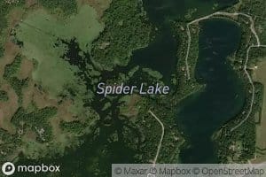 Spider Lake