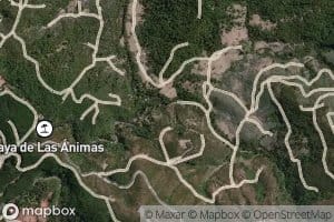 Estero de los Pantanos