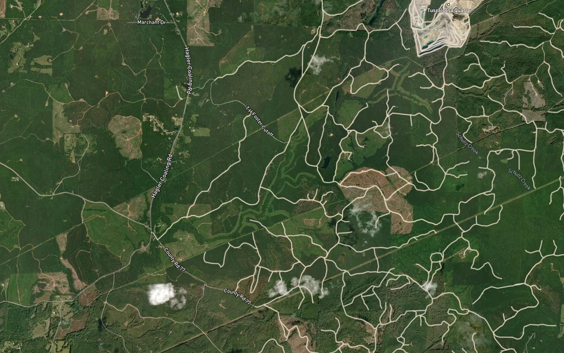 Satellite map of the Taylor Creek