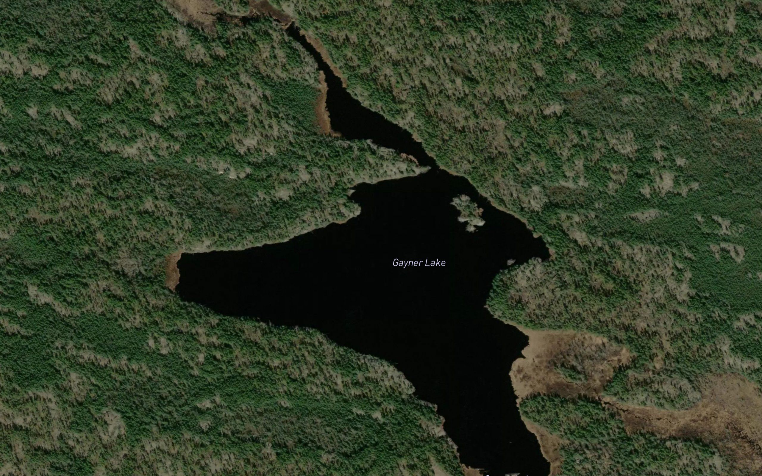 Gayner Lake