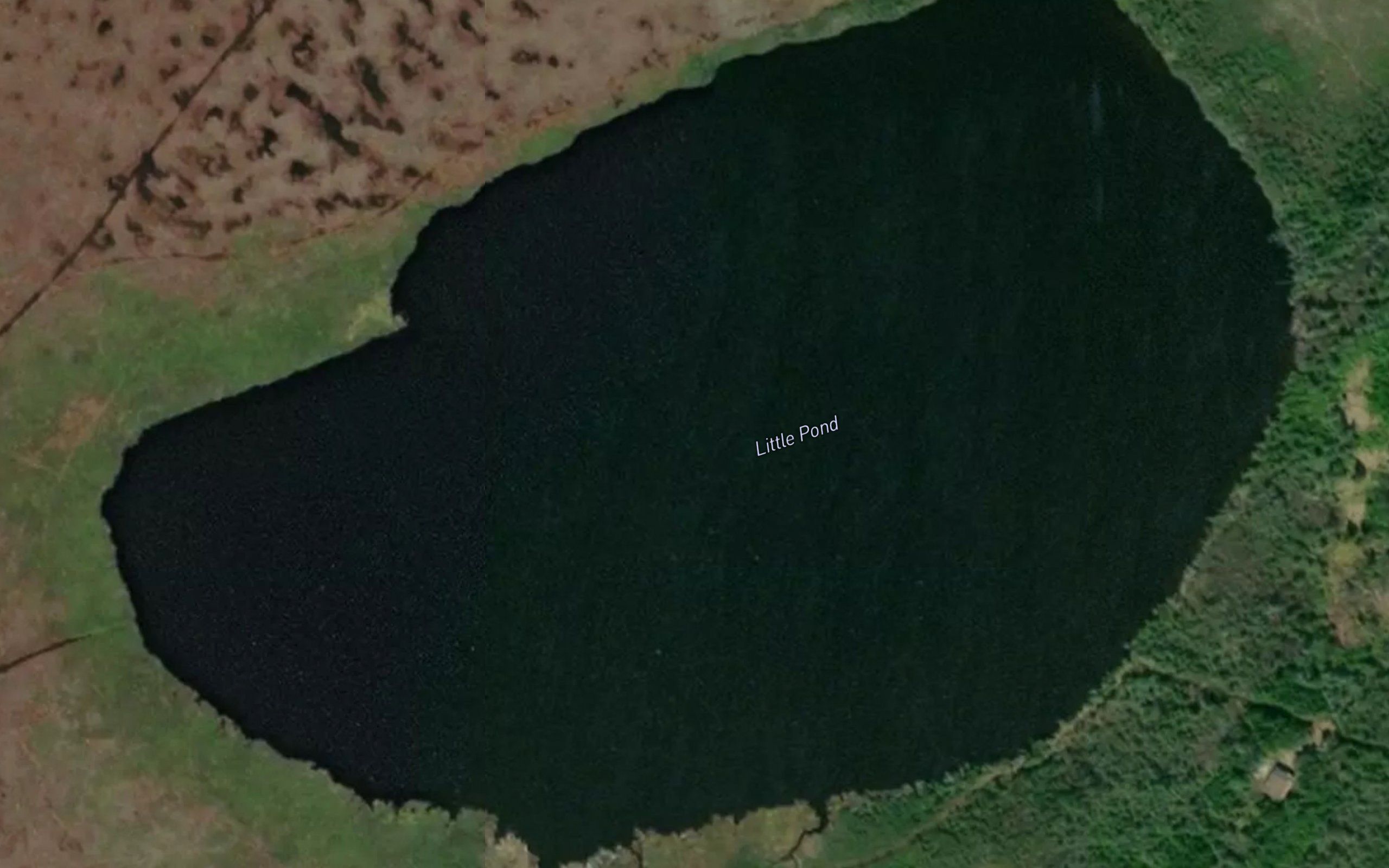 Little Pond