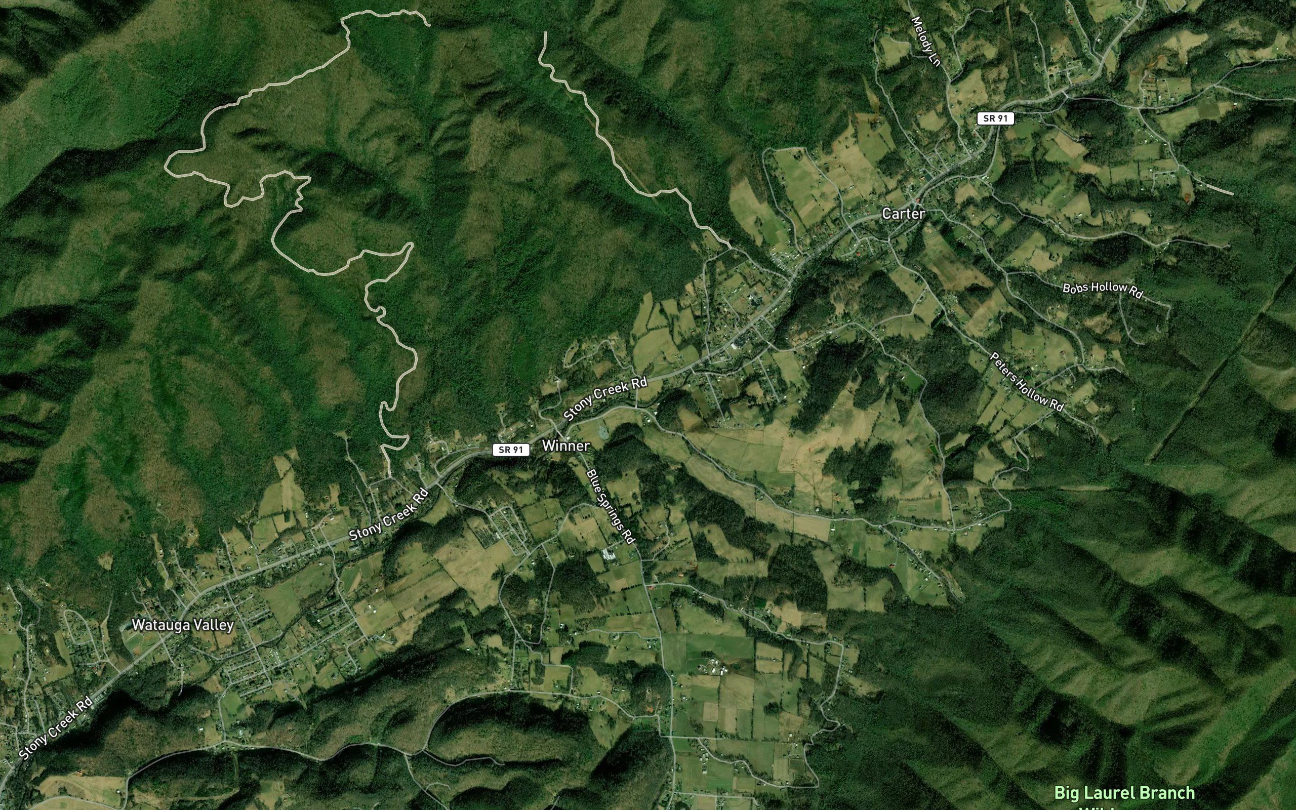 Nidifer Branch