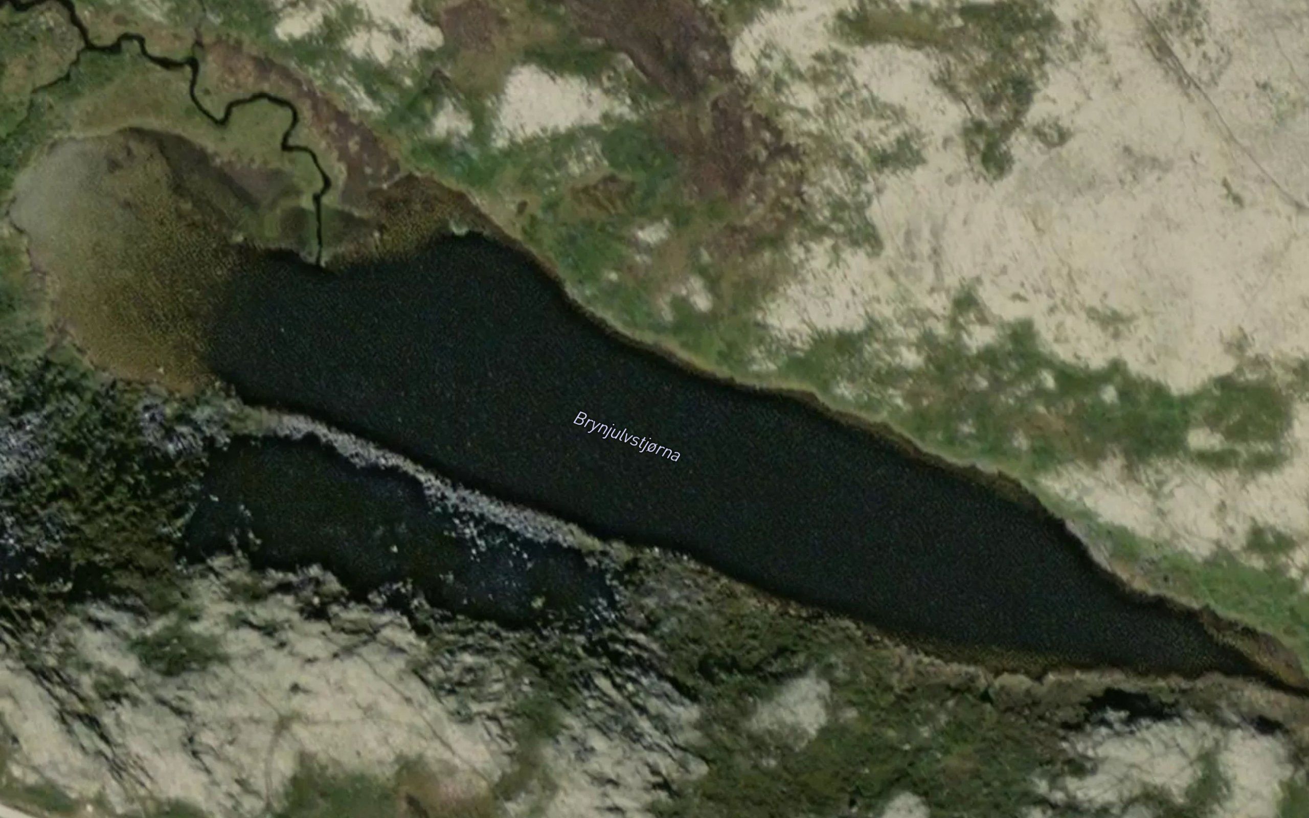 Brynjulvstjorna