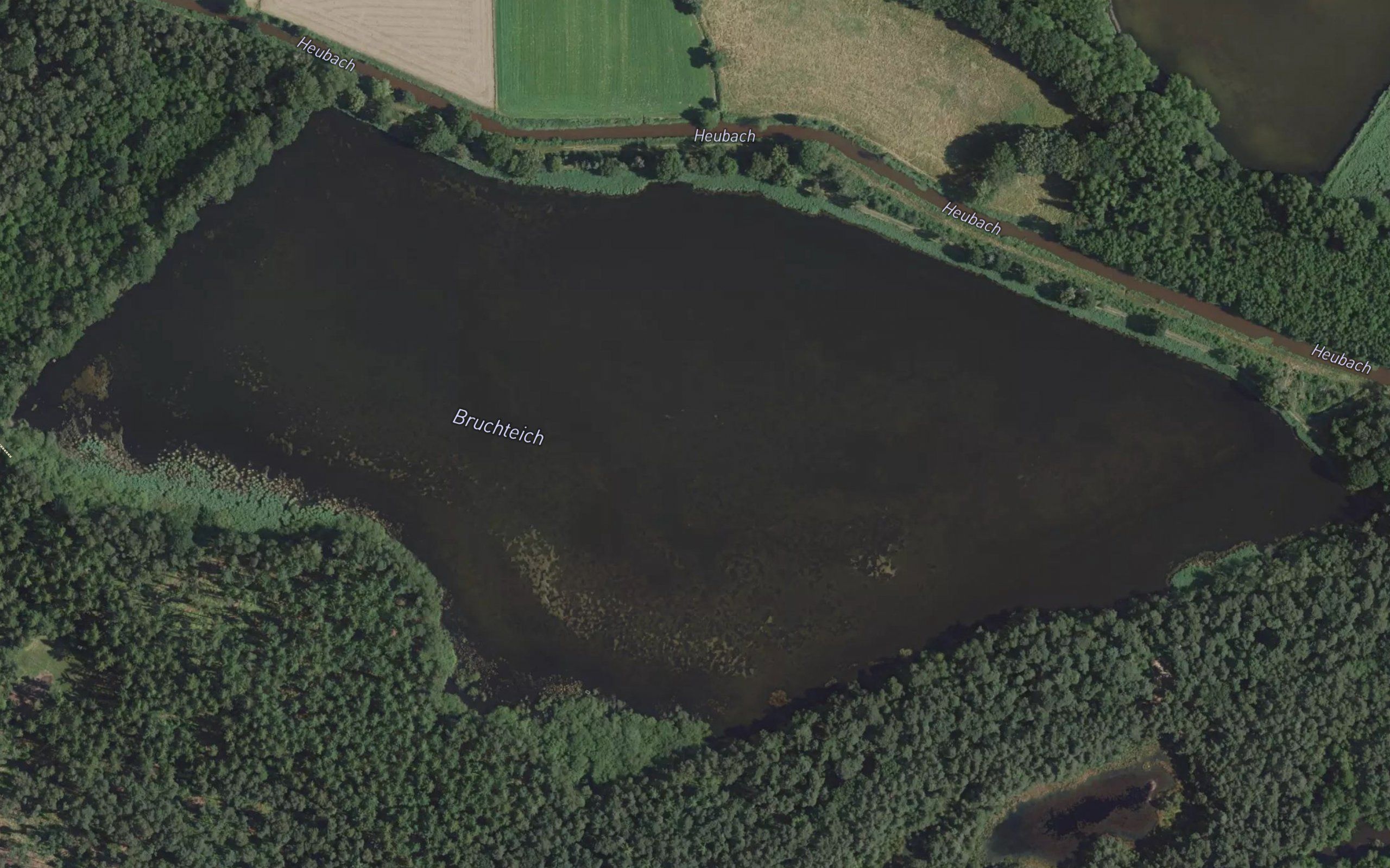 Bruchteich