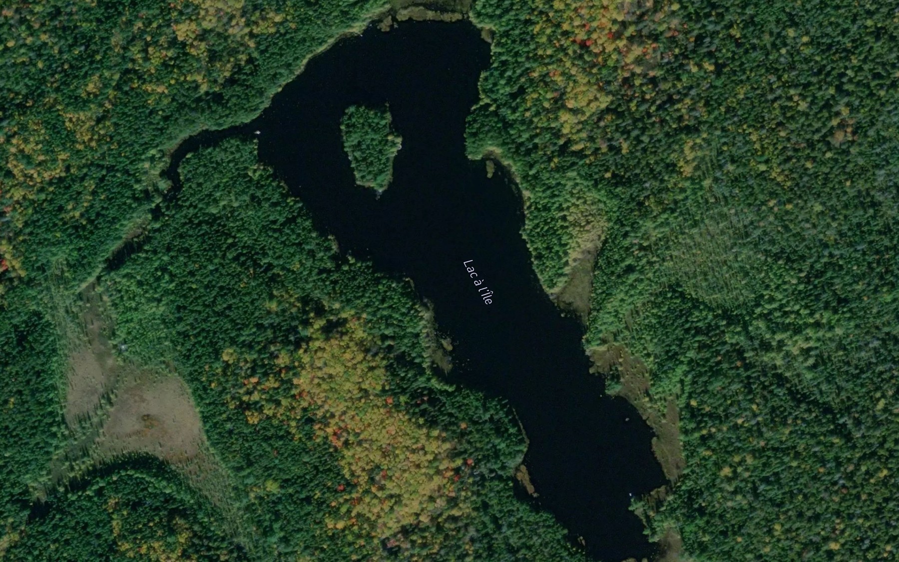 Satellite map of the Lac a l'Ile