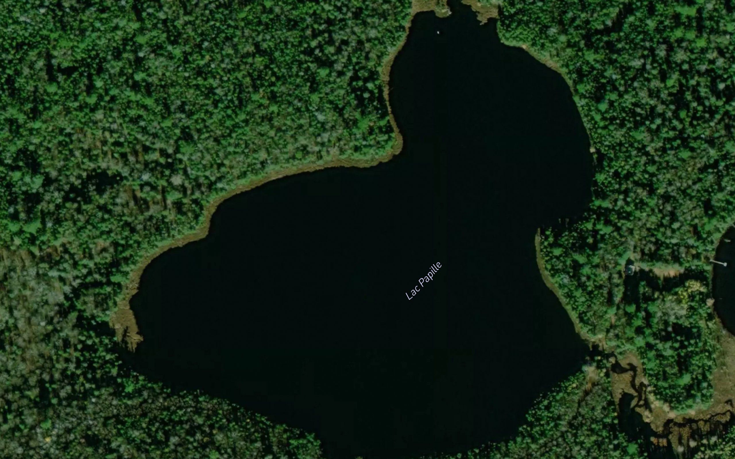Lac Papille