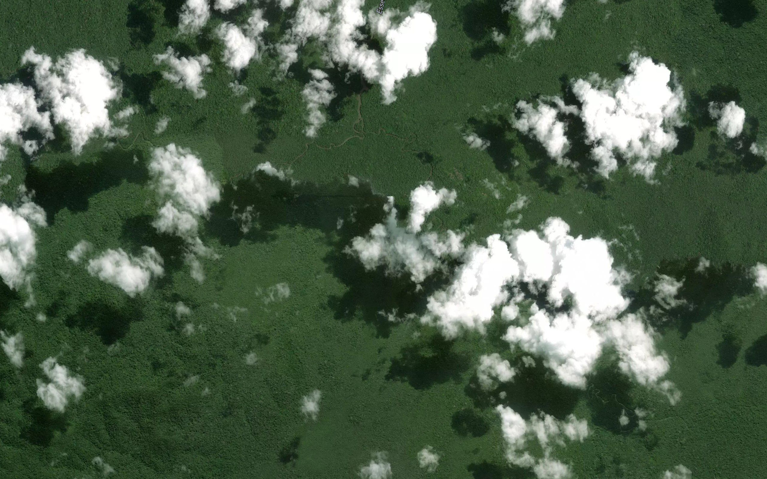 Talimwau River