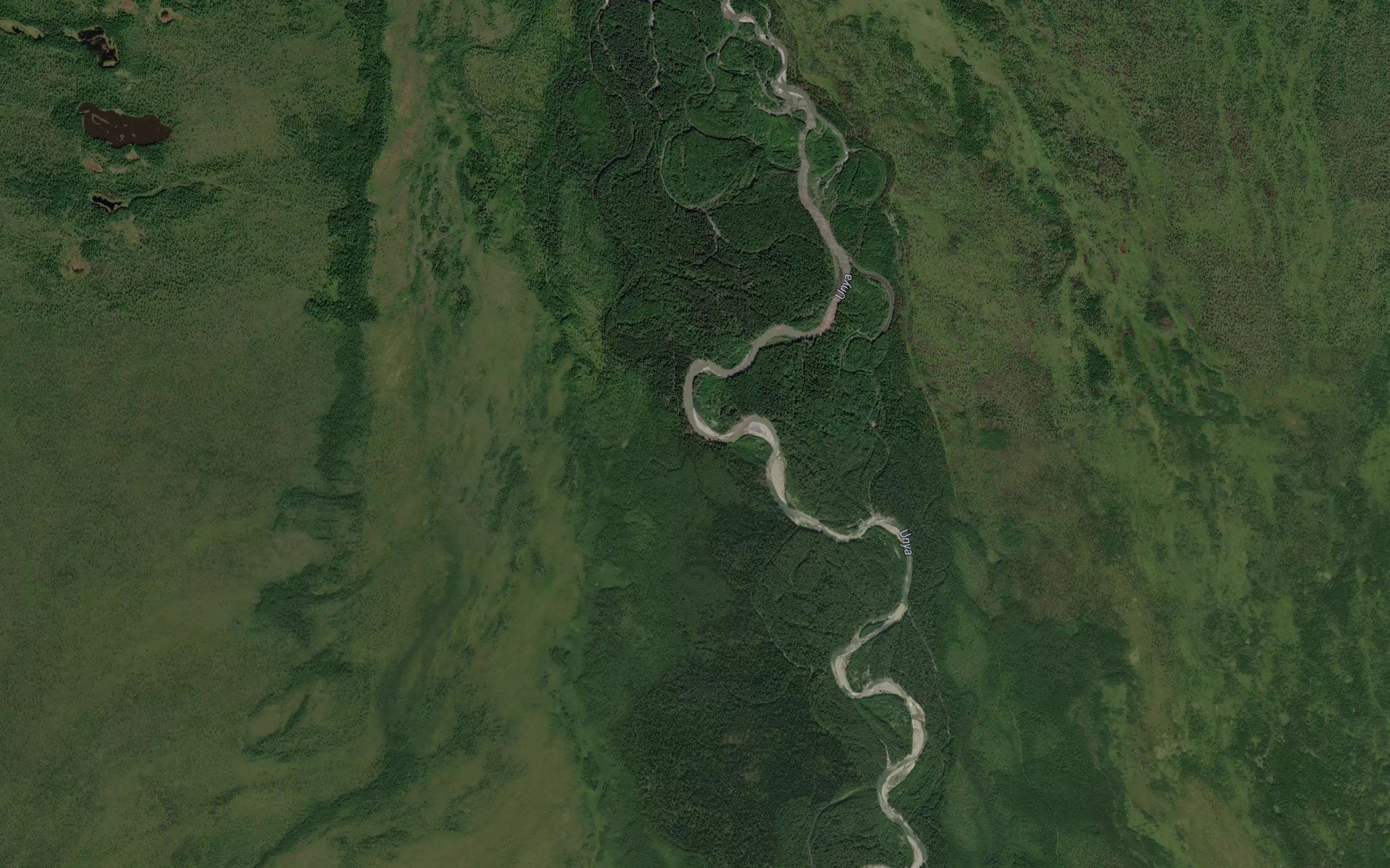 Medvezhiy