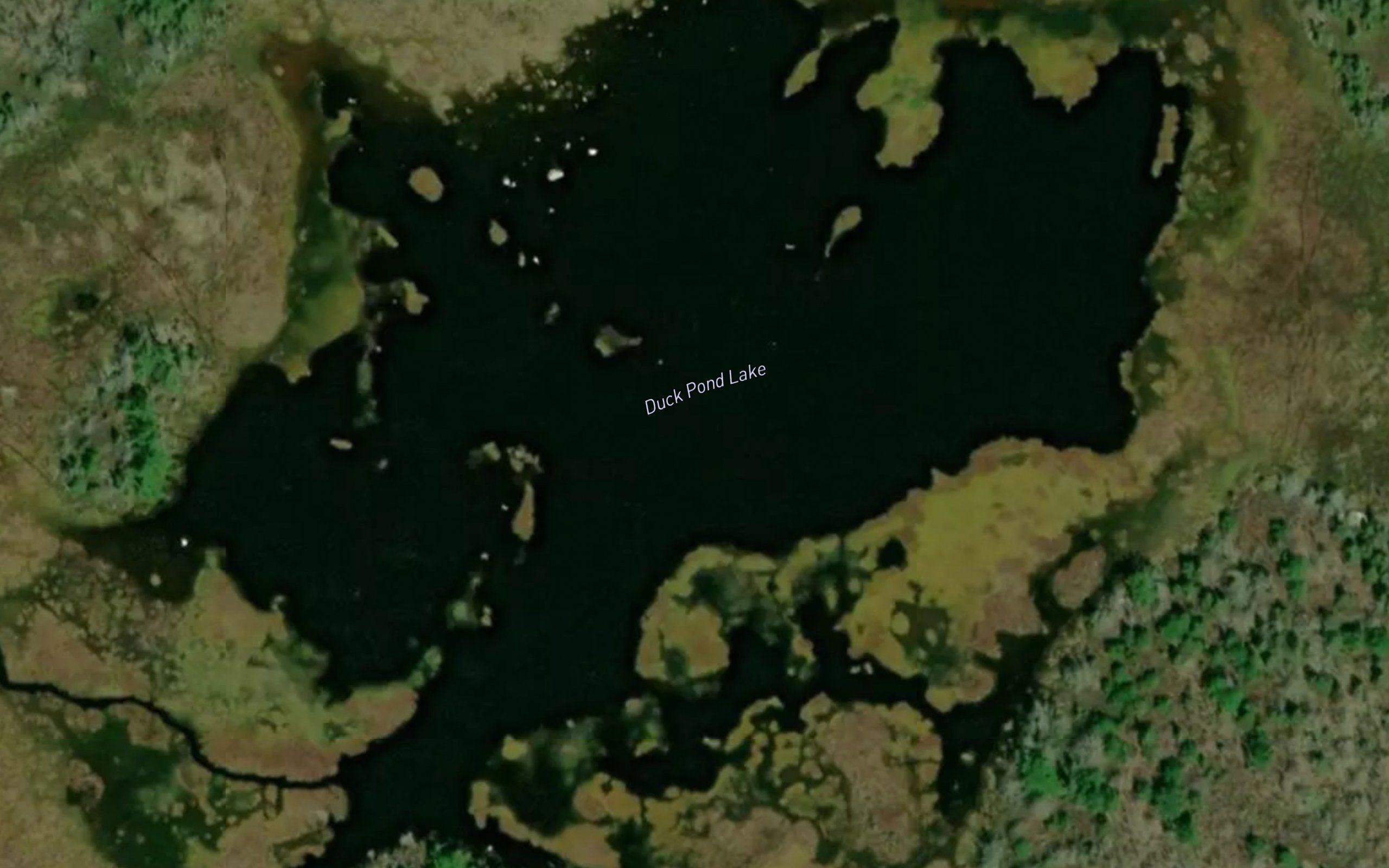 Duck Pond Lake