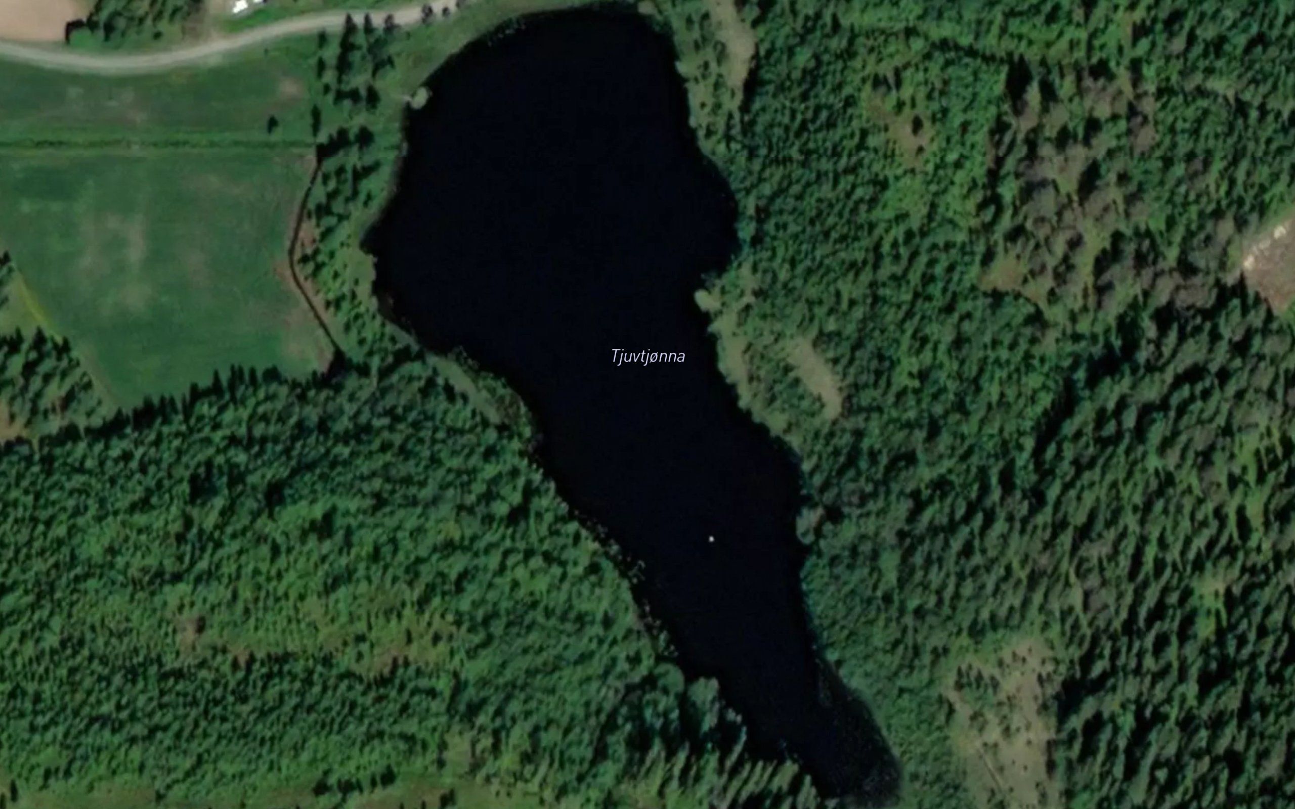 Tjuvtjorna