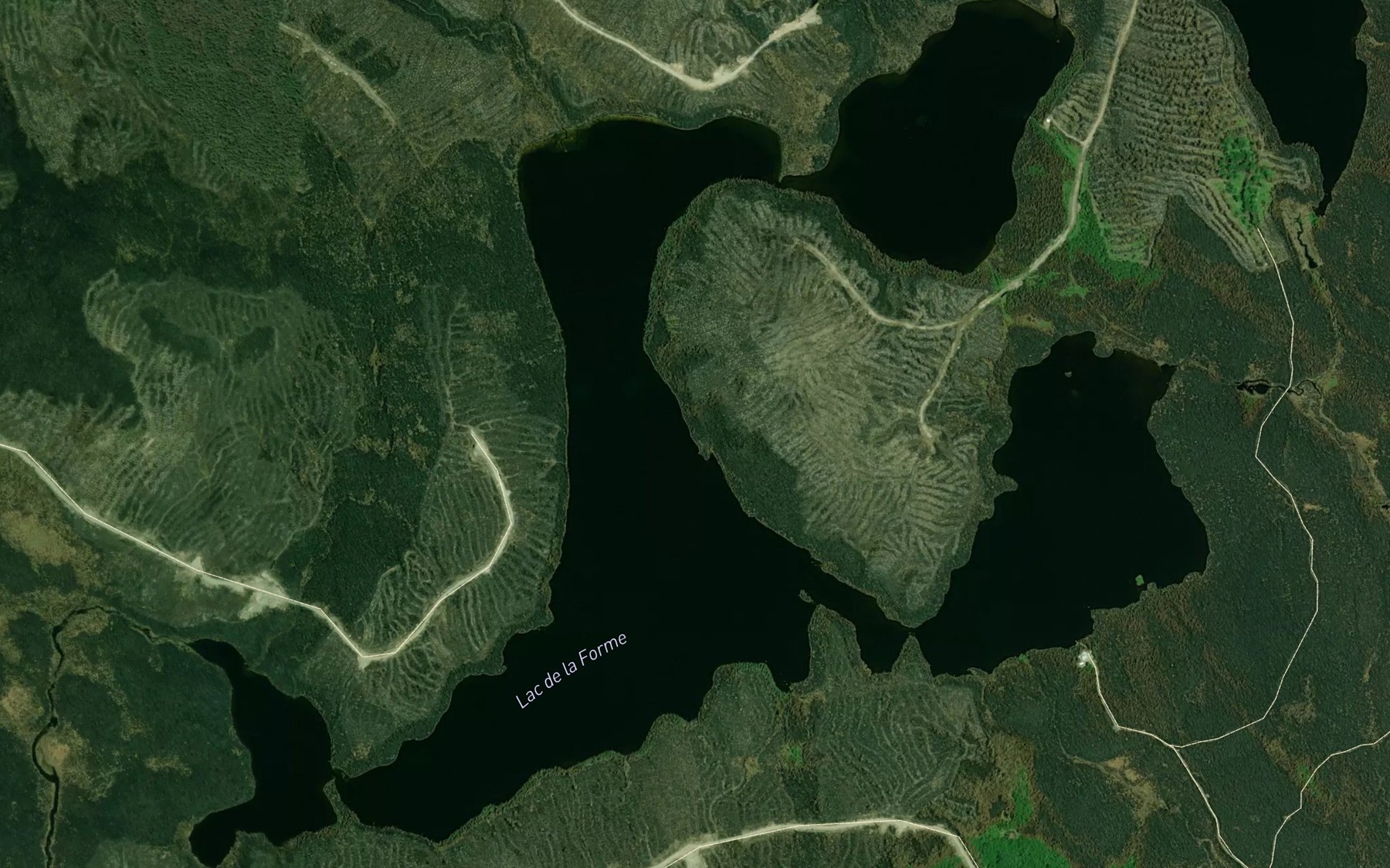 Satellite map of the Lac de la Forme