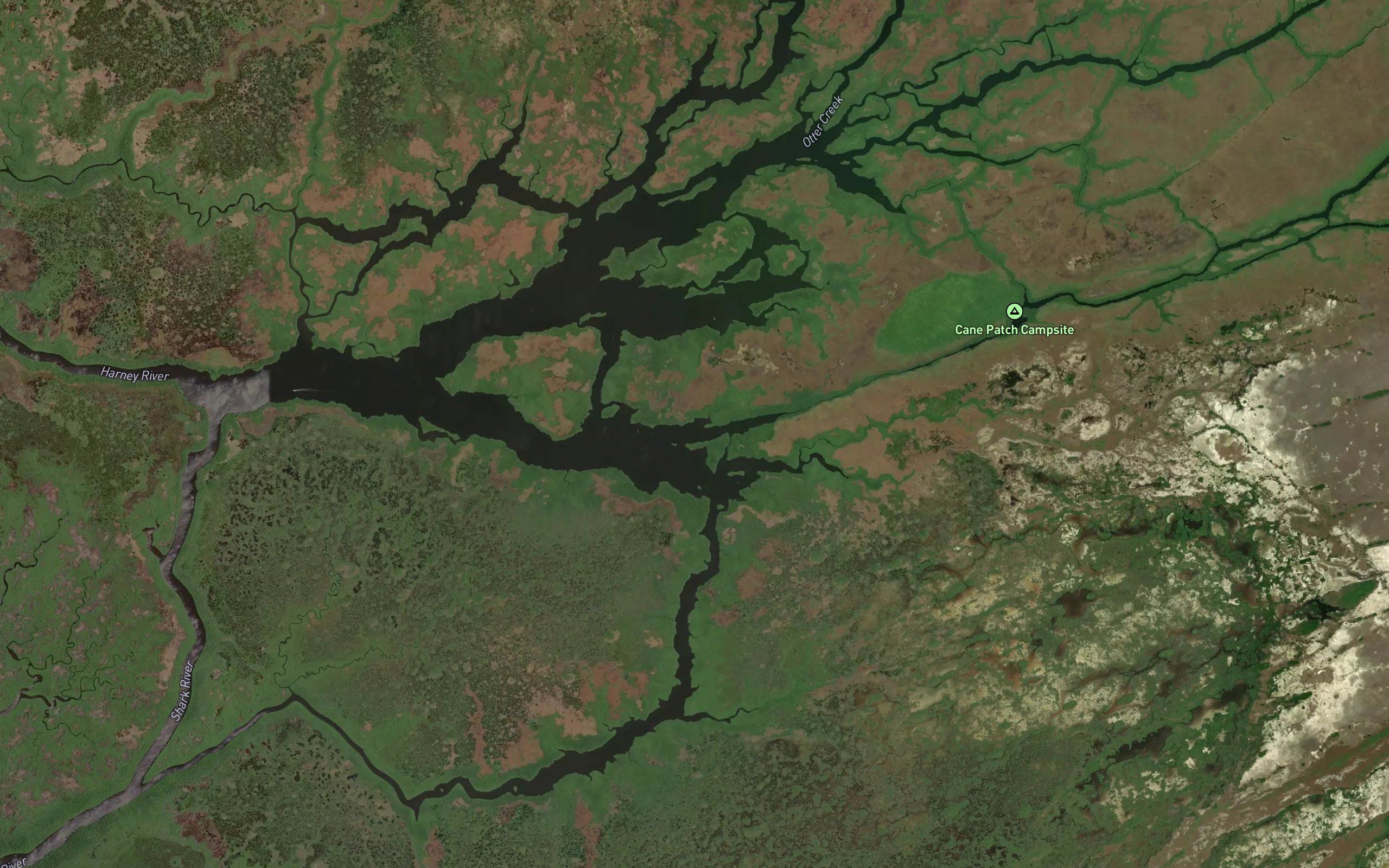 Avocado Creek