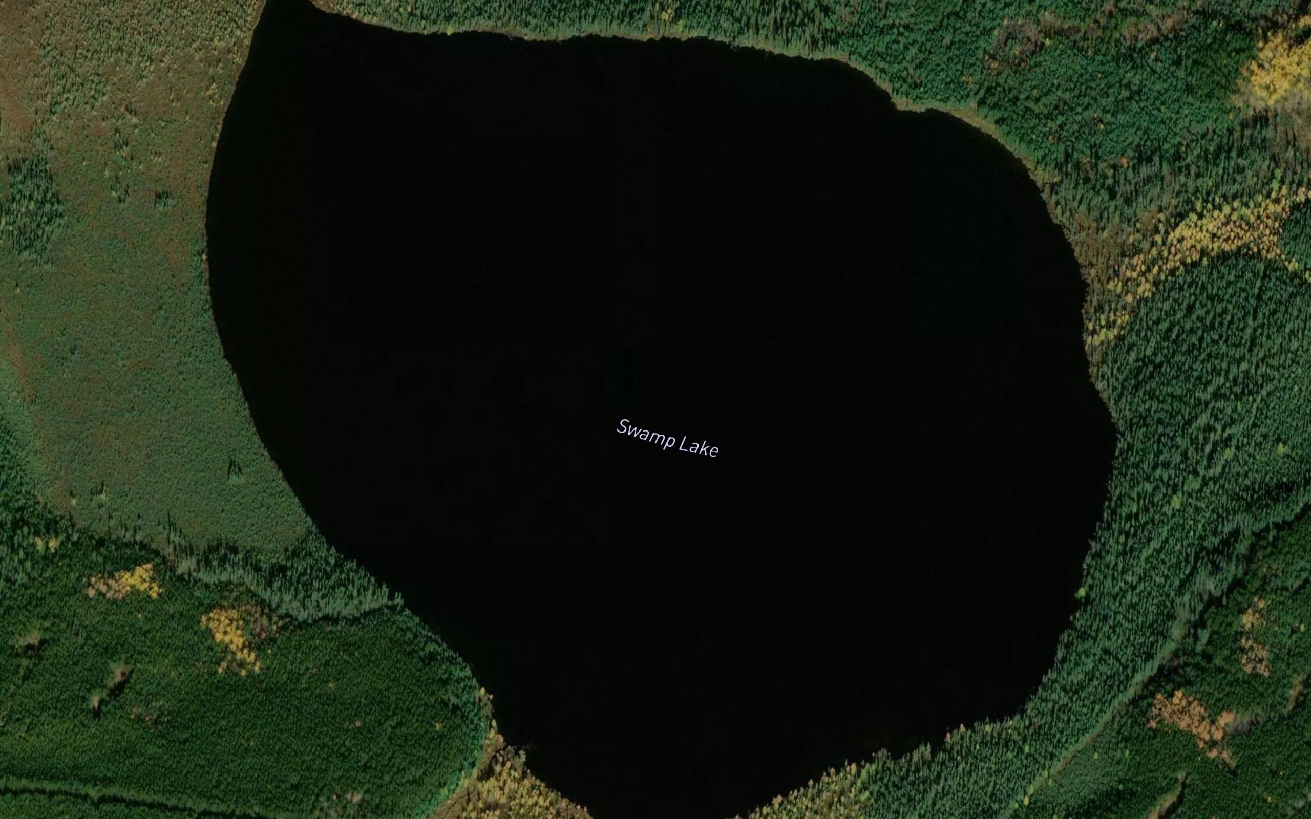 Swamp Lake