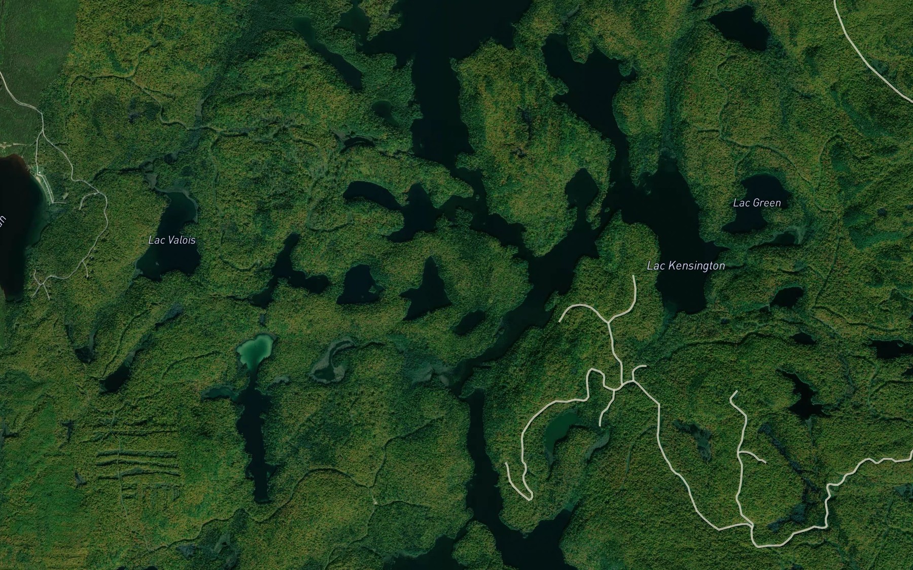 Satellite map of the The Narrows