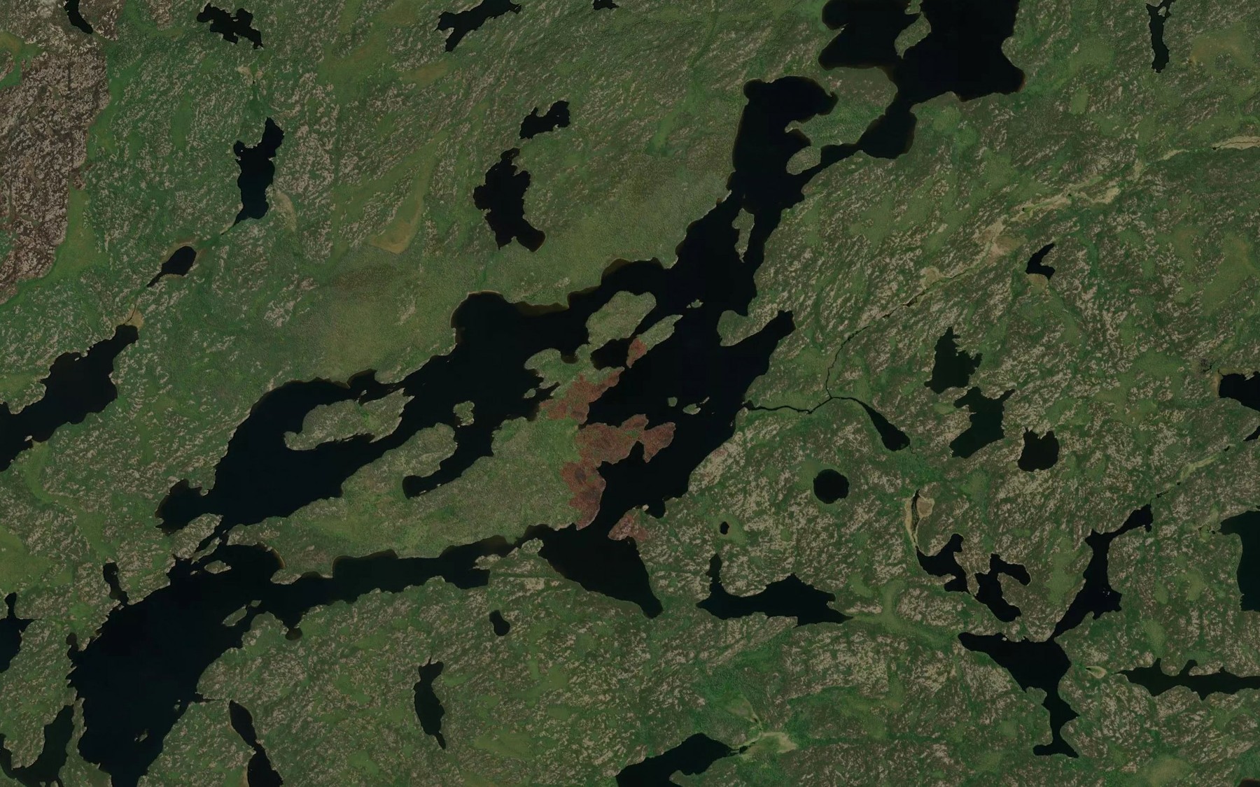 Satellite map of the Domain Lake