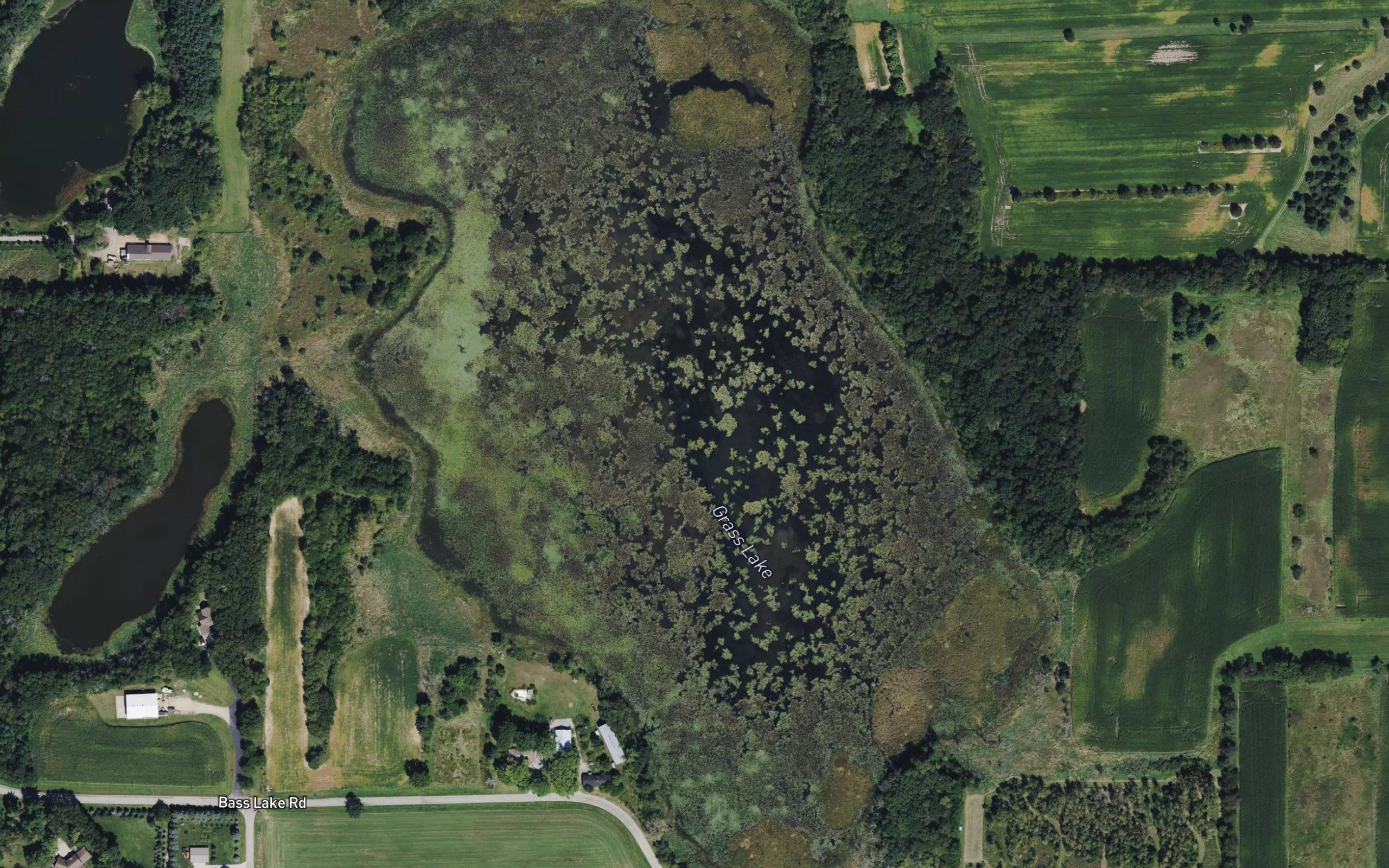 Grass Lake