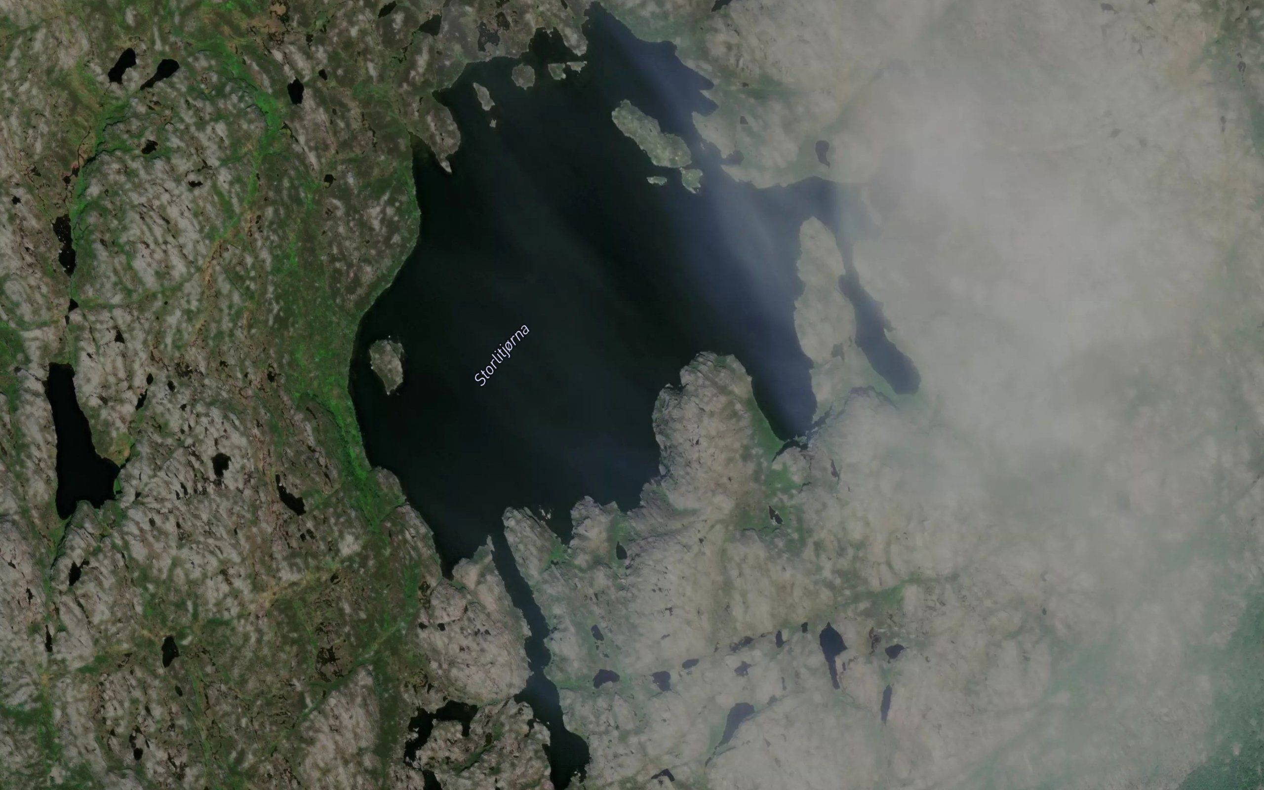Storlitjorna