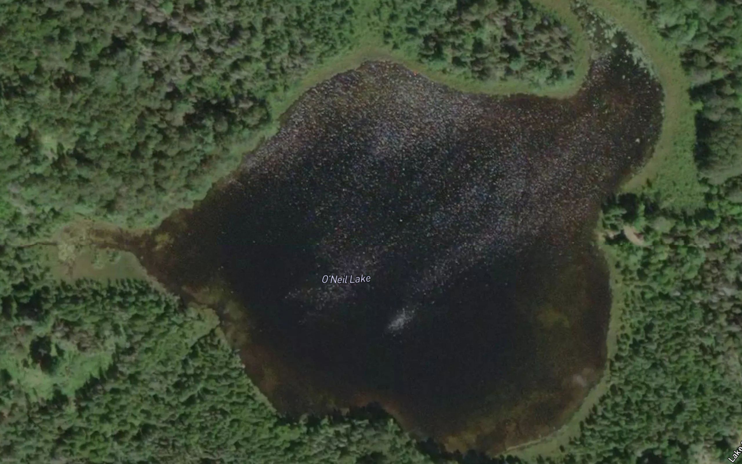 O'Neil Lake
